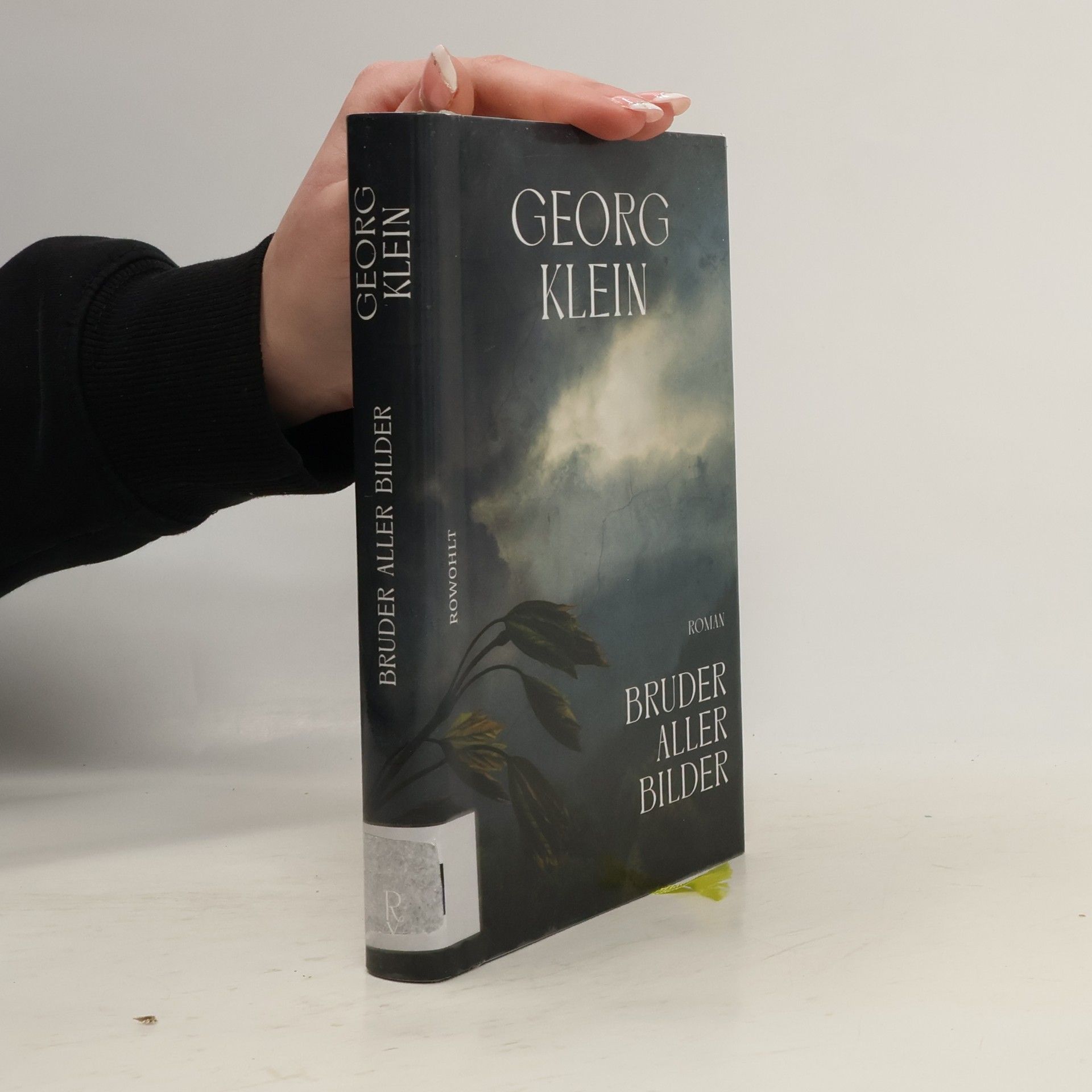 Georg Klein Bruder aller Bilder