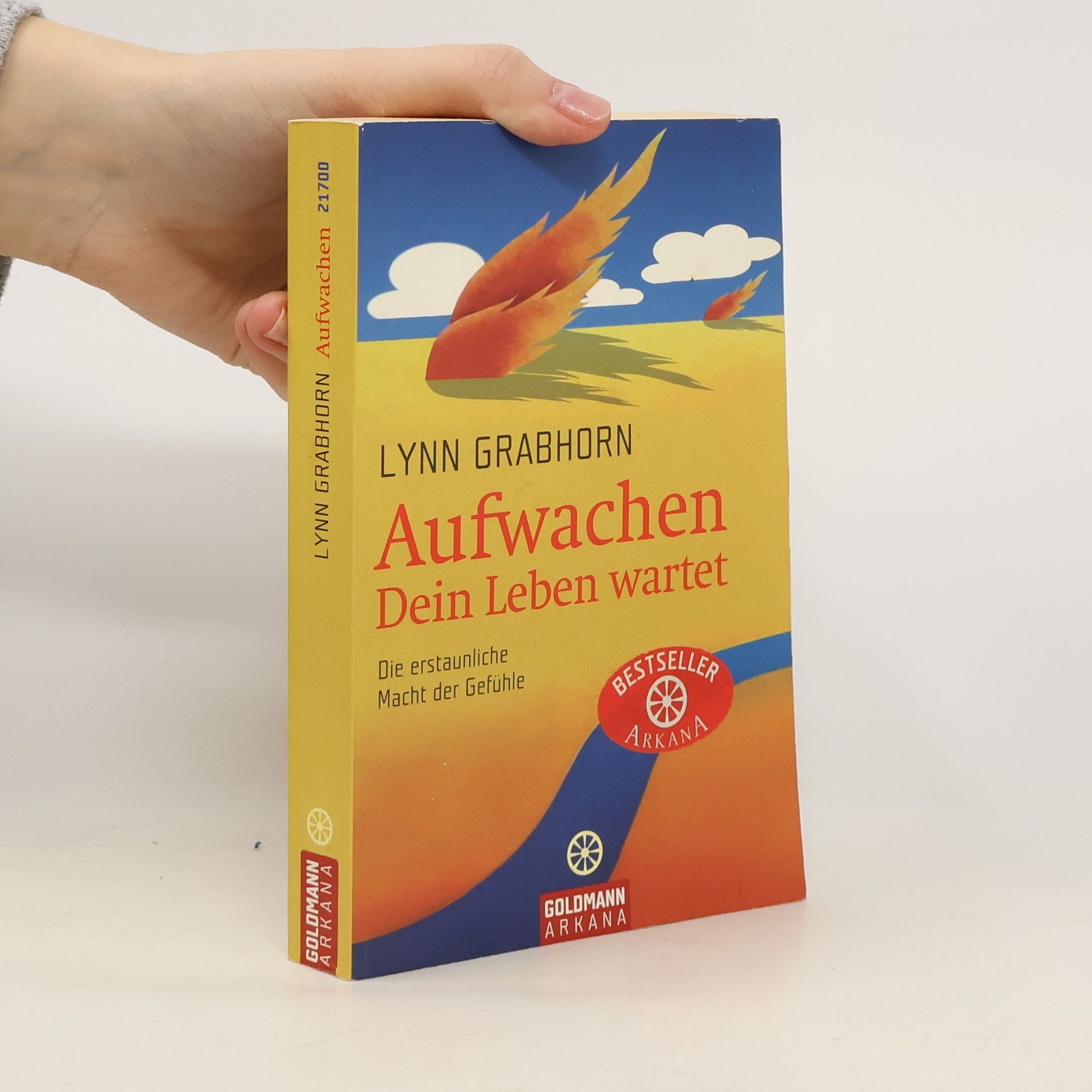 Lynn Grabhorn Aufwachen. Dein Leben wartet