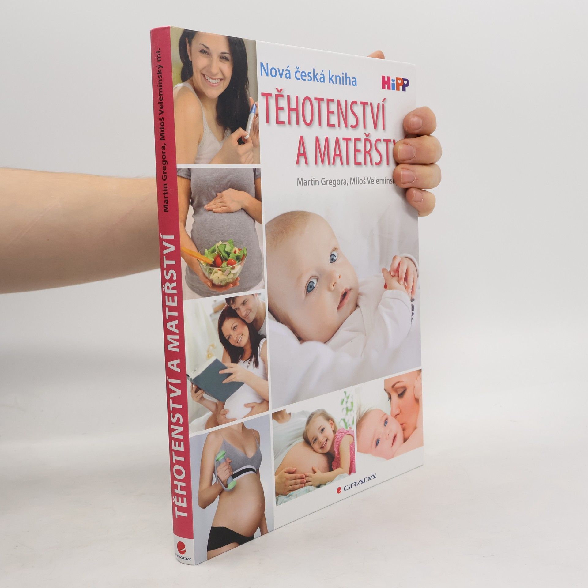 Martin Gregor-Dellin Těhotenství a mateřství