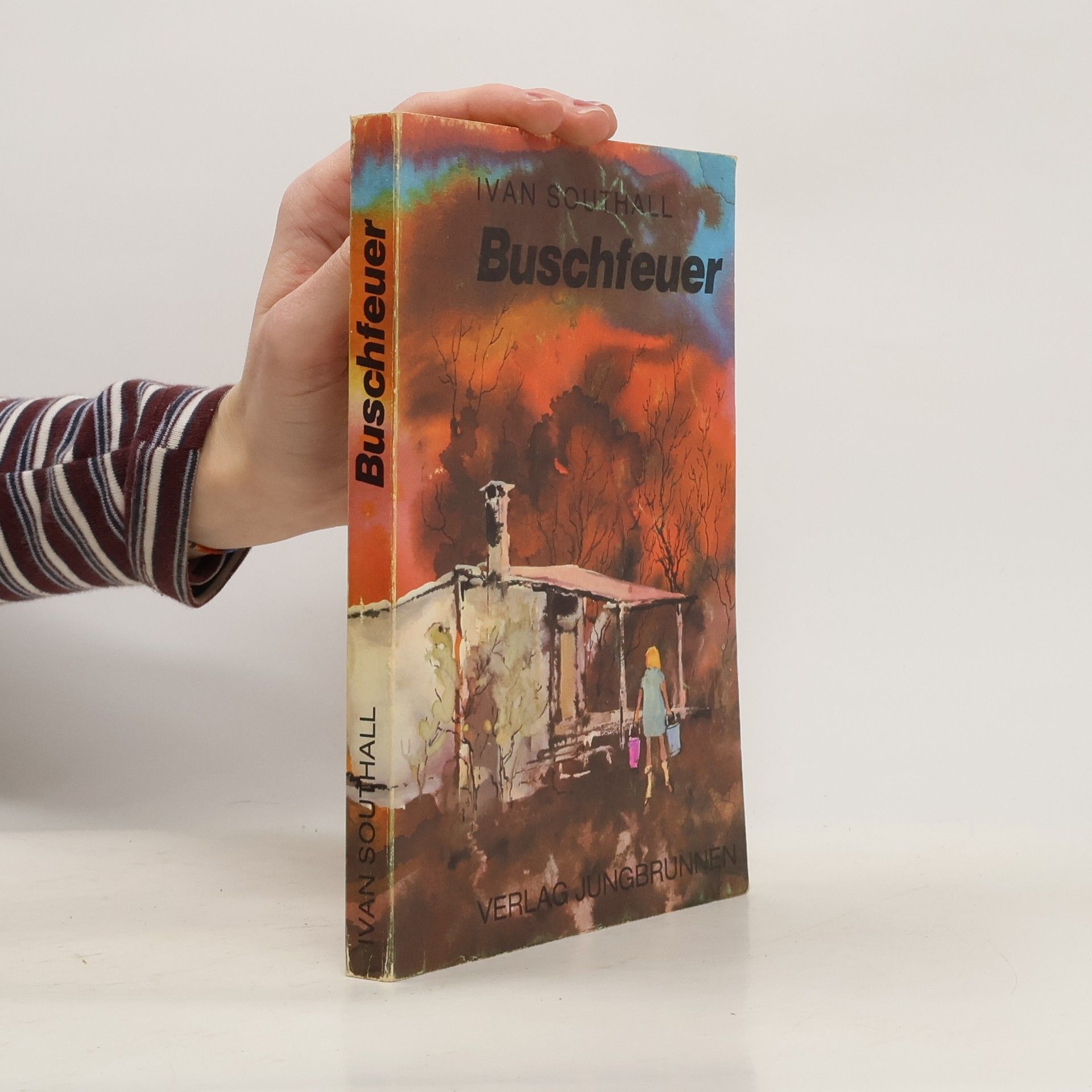 Ivan Southall Buschfeuer
