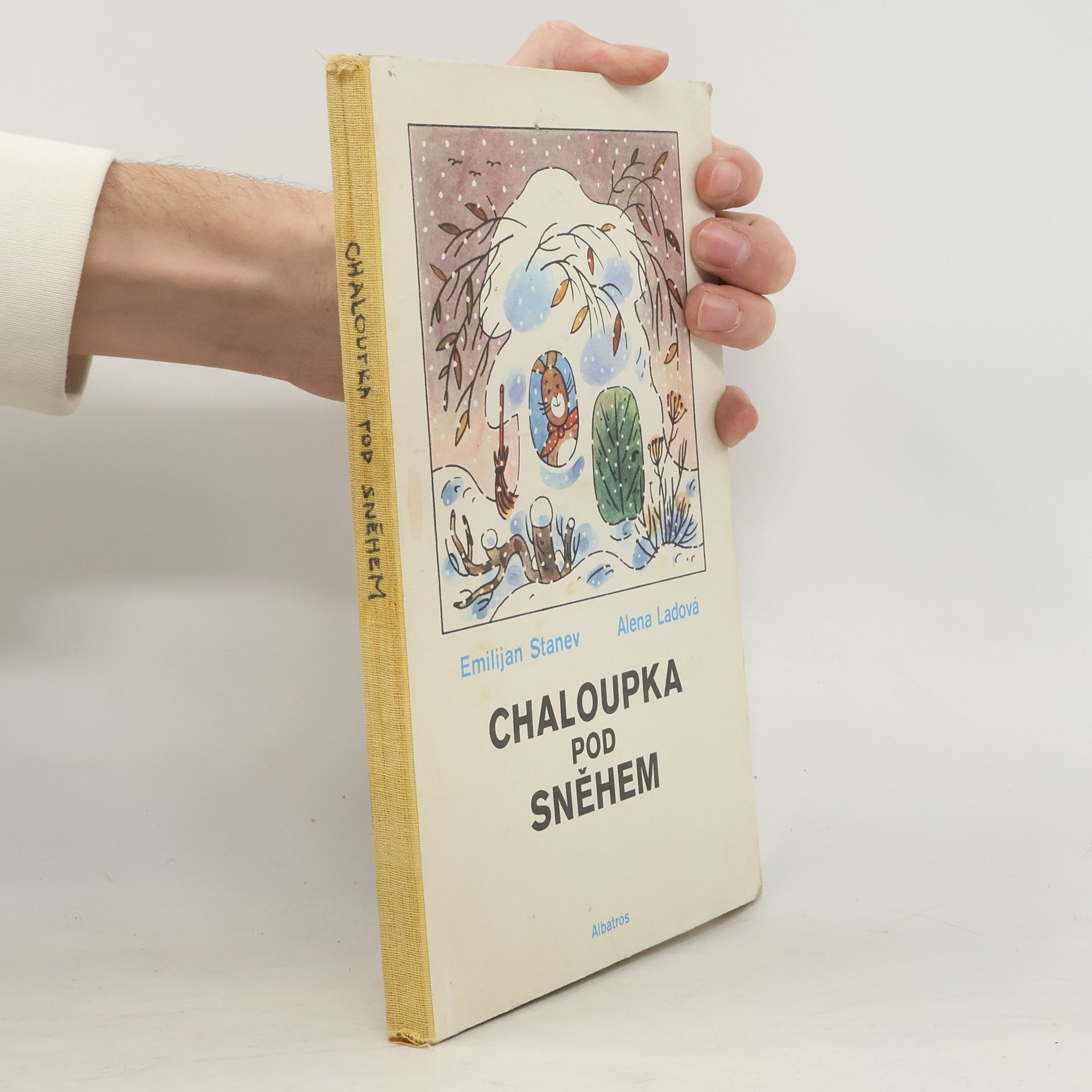 Emilijan Stanev Chaloupka pod sněhem