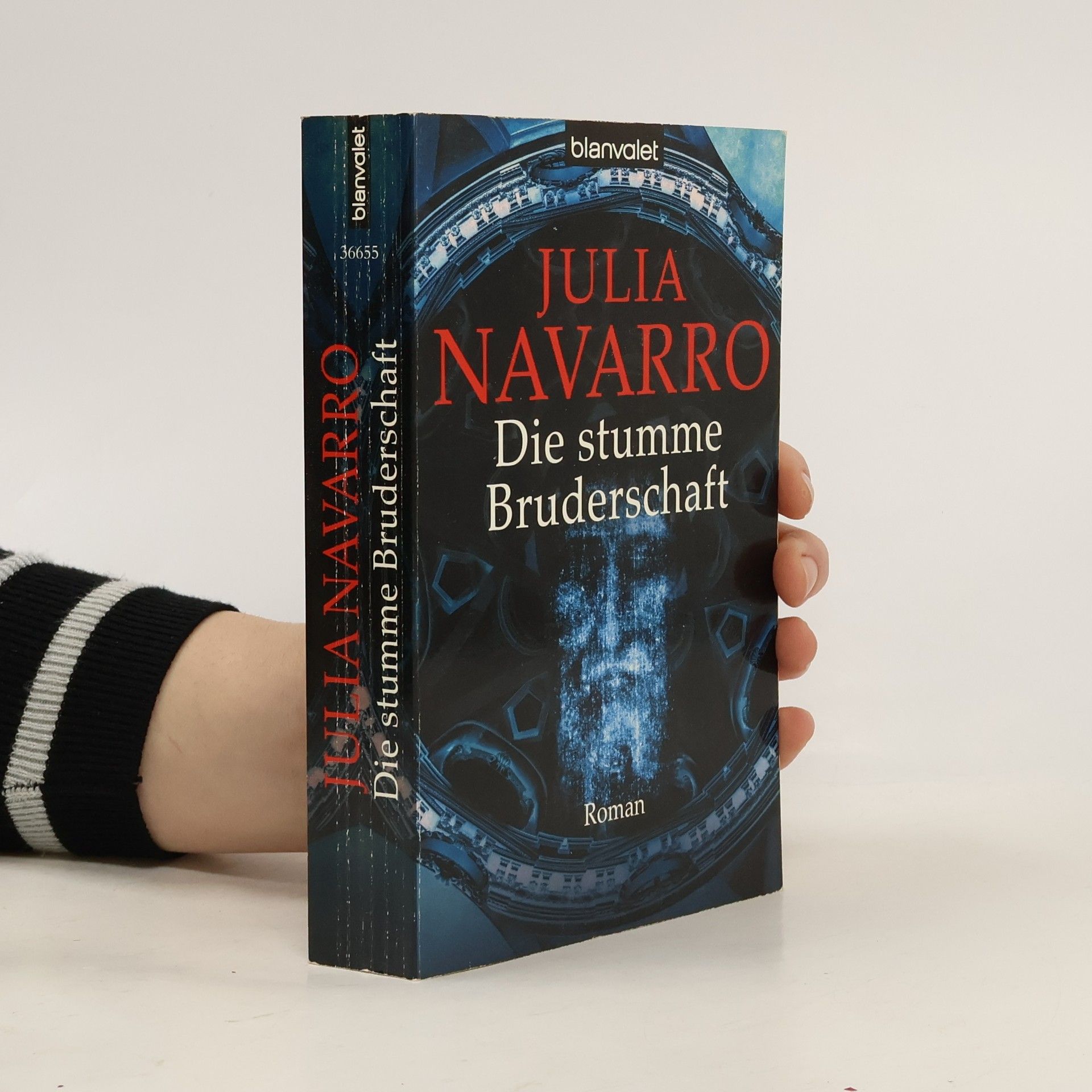 Julia Navarro Die stumme Bruderschaft