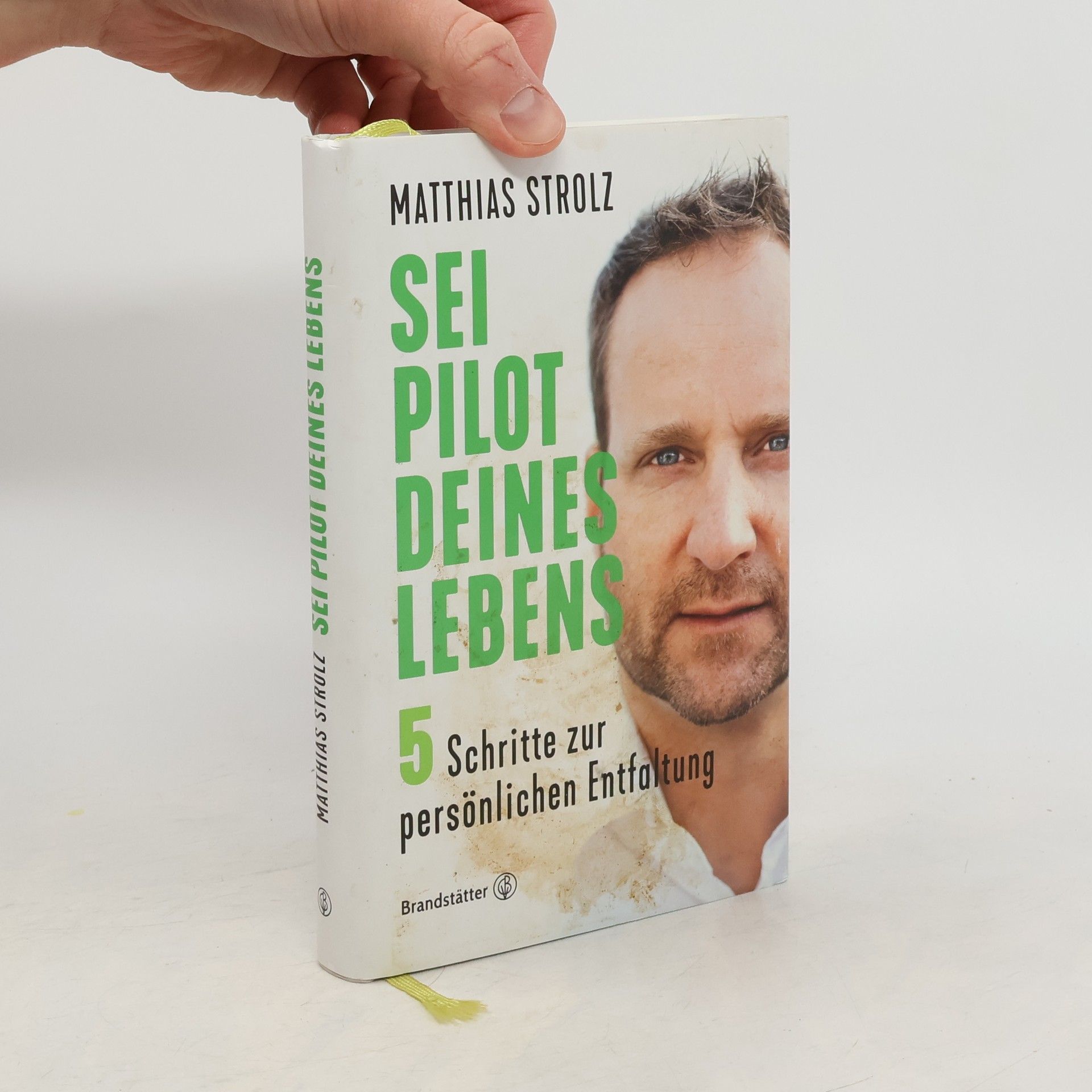 Matthias Strolz Sei Pilot deines Lebens