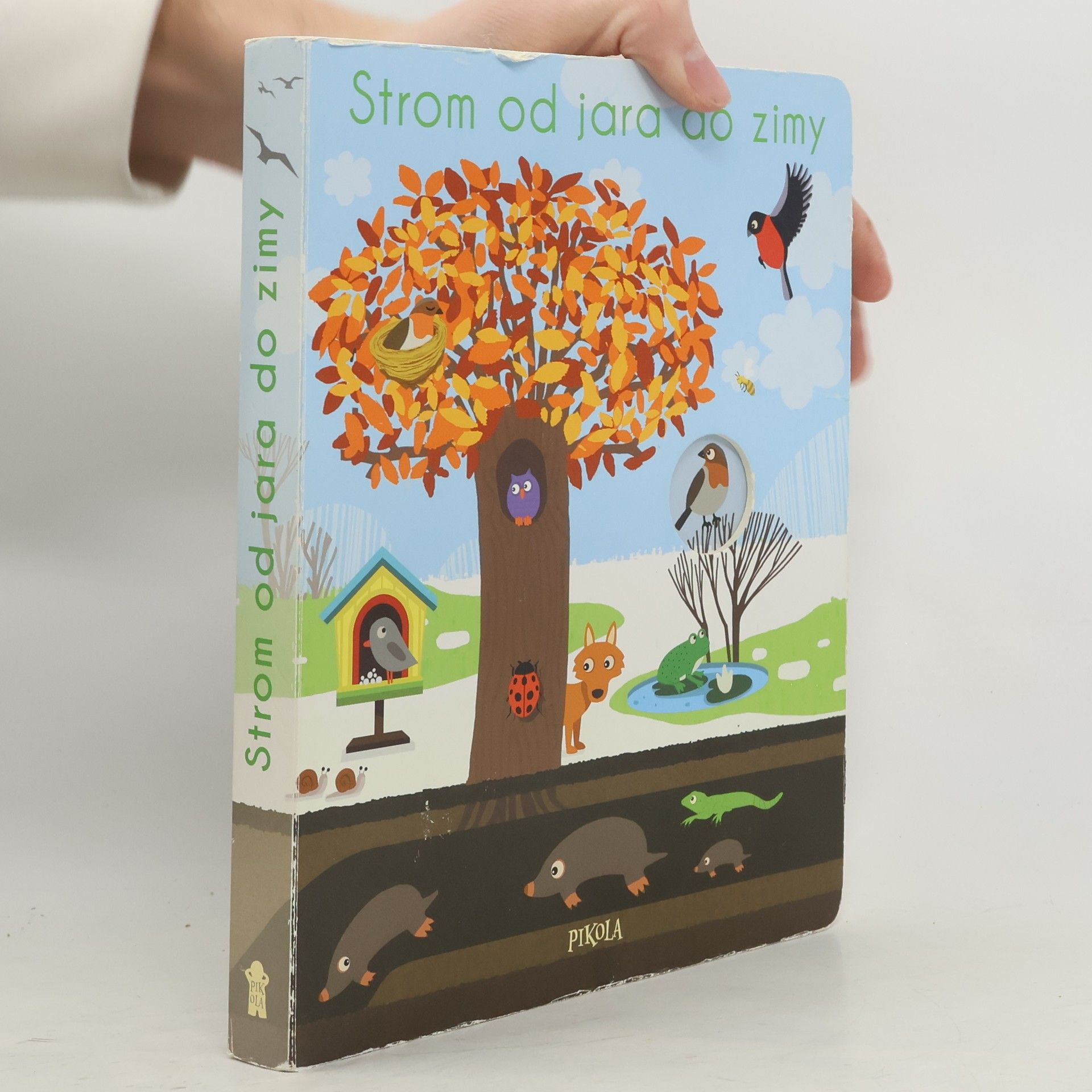 Strom od jara do zimy