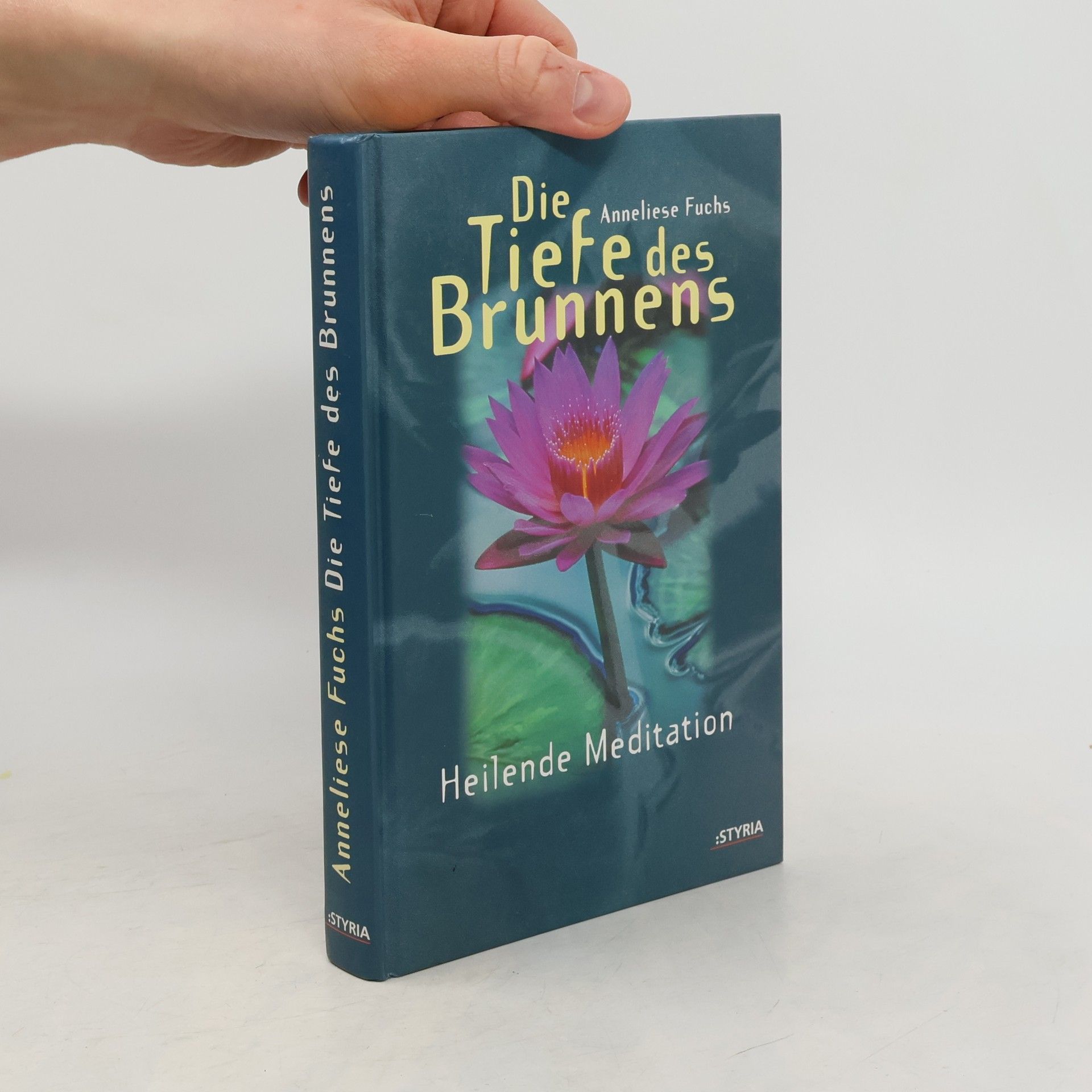 Die Tiefe des Brunnens