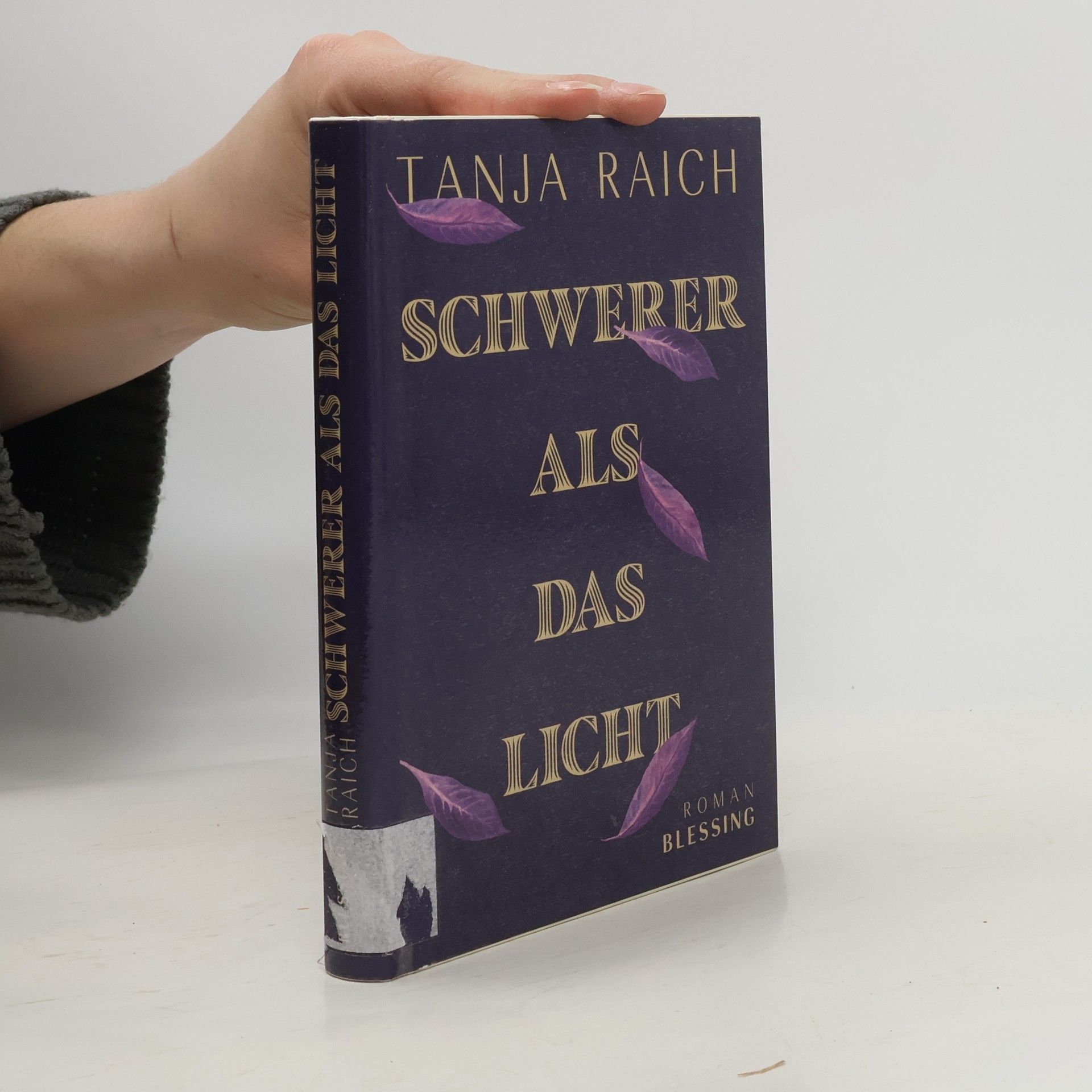 Tanja Raich Schwerer als das Licht