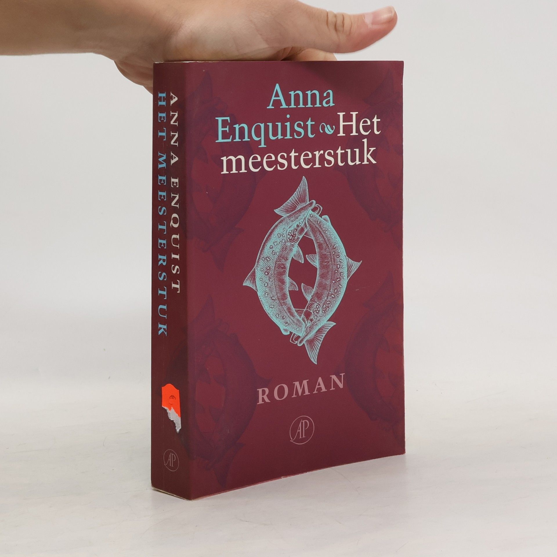 Anna Enquist Het Meesterstuk