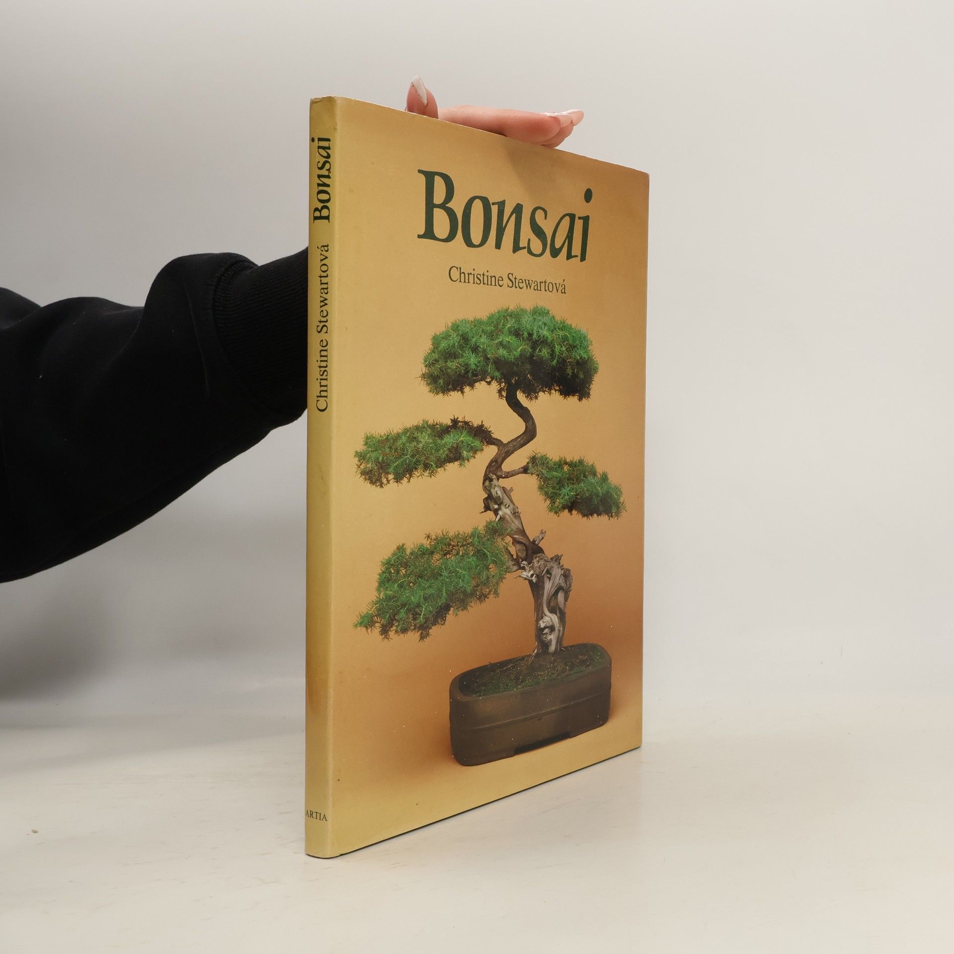 Christine Stewart Bonsai