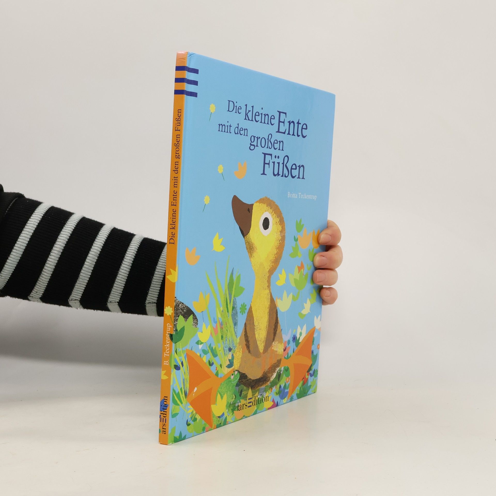 Britta Teckentrup Die kleine Ente mit den großen Füßen