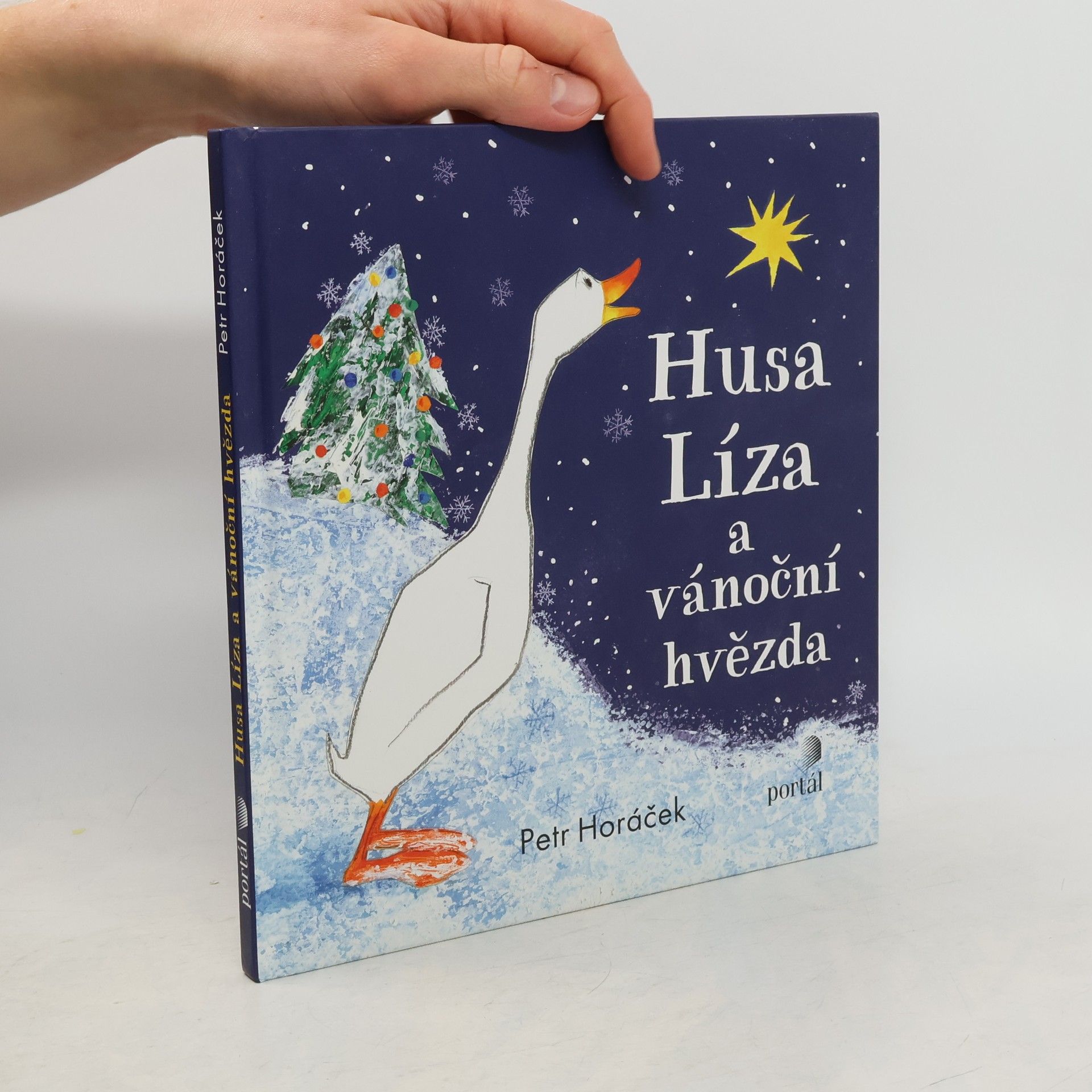 Horacek Petr Husa Líza a vánoční hvězda