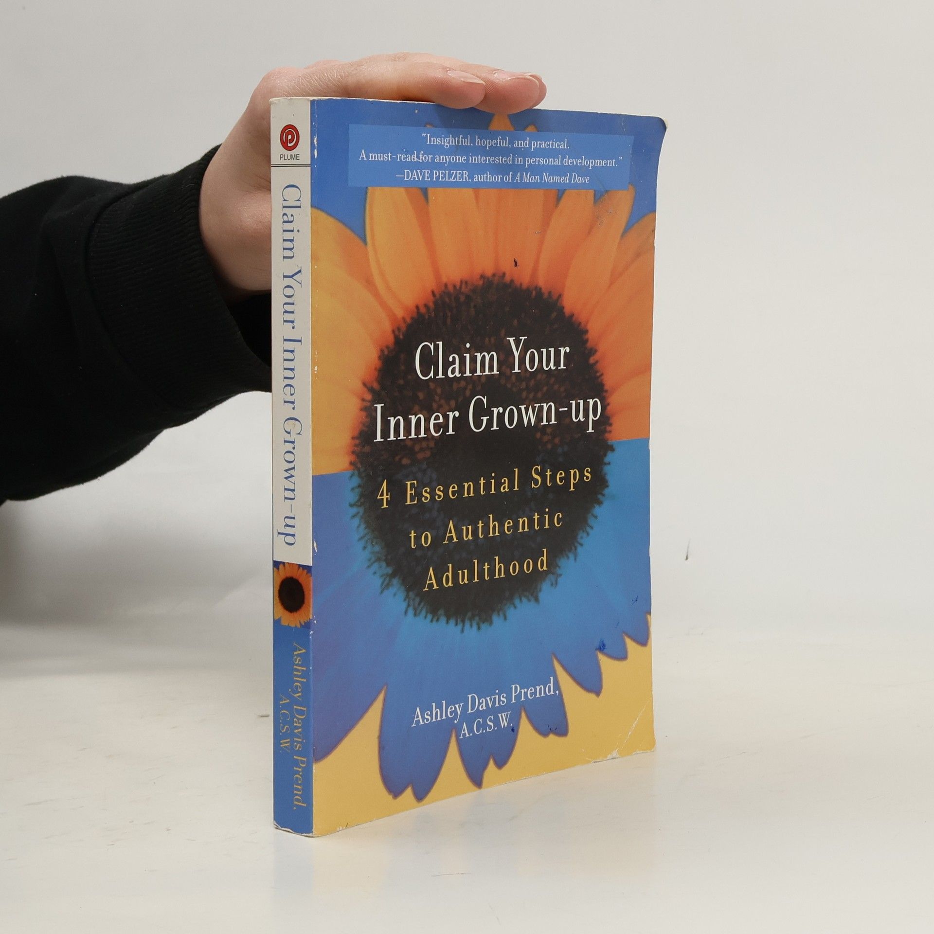 Ashley Davis Prend Claim Your Inner Grown-Up