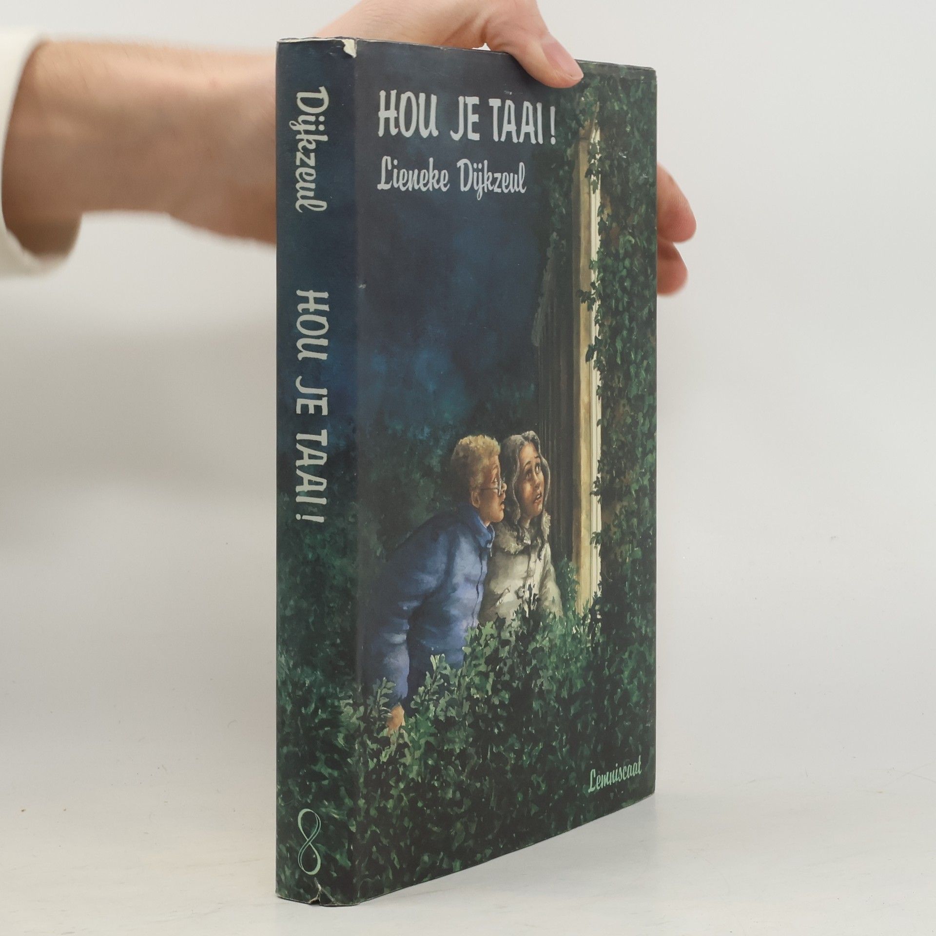 Lieneke Dijkzeul Hou je taai!