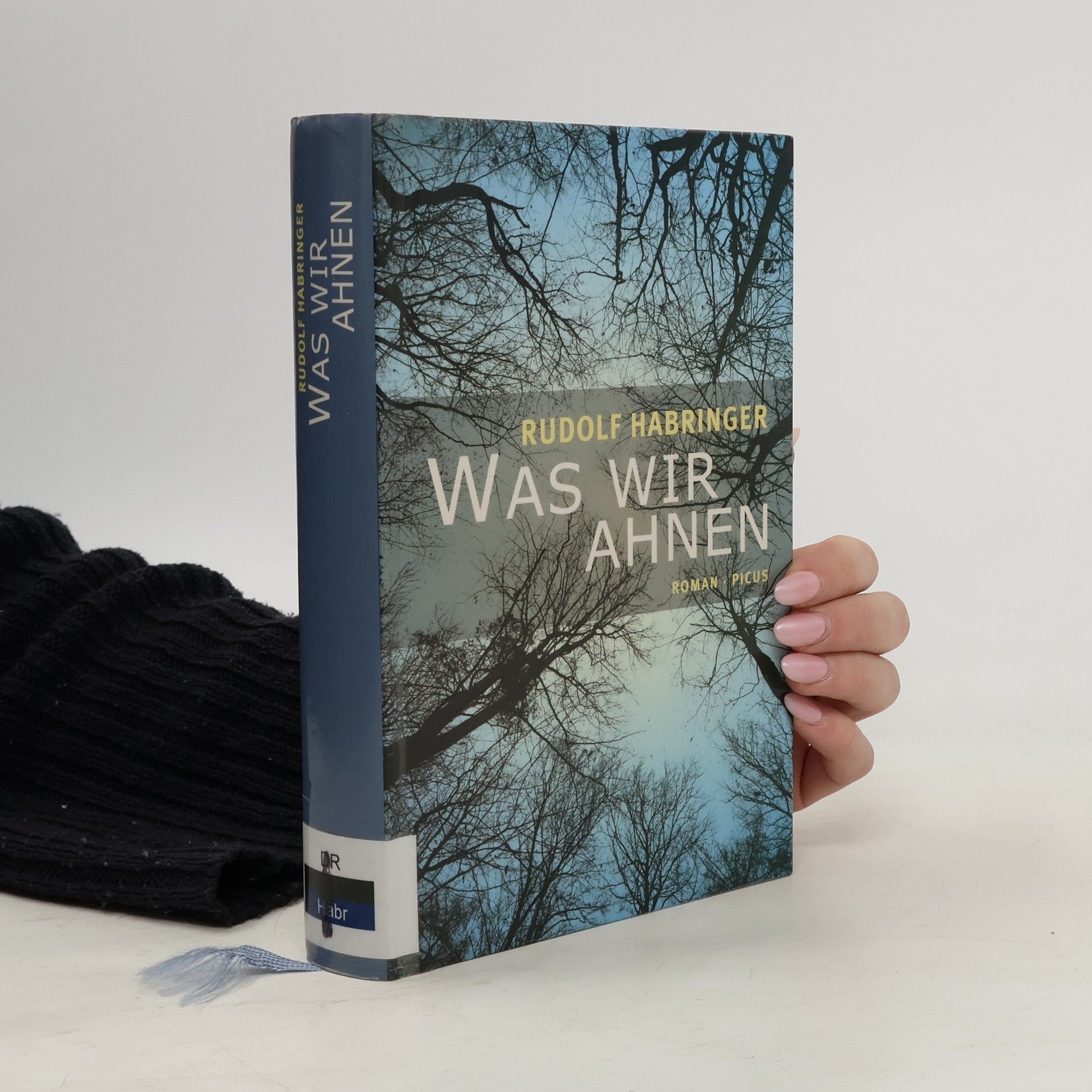 Rudolf Habringer Was wir ahnen