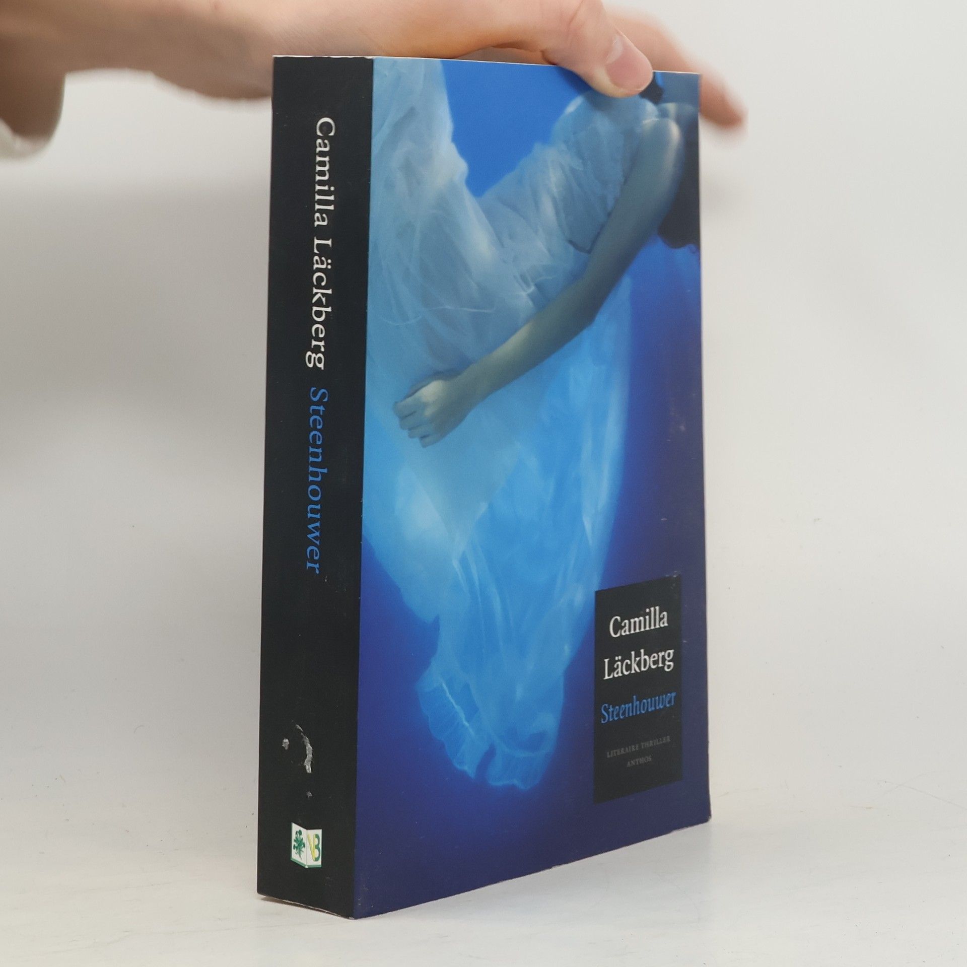 Wiveca Jongeneel Steenhouwer