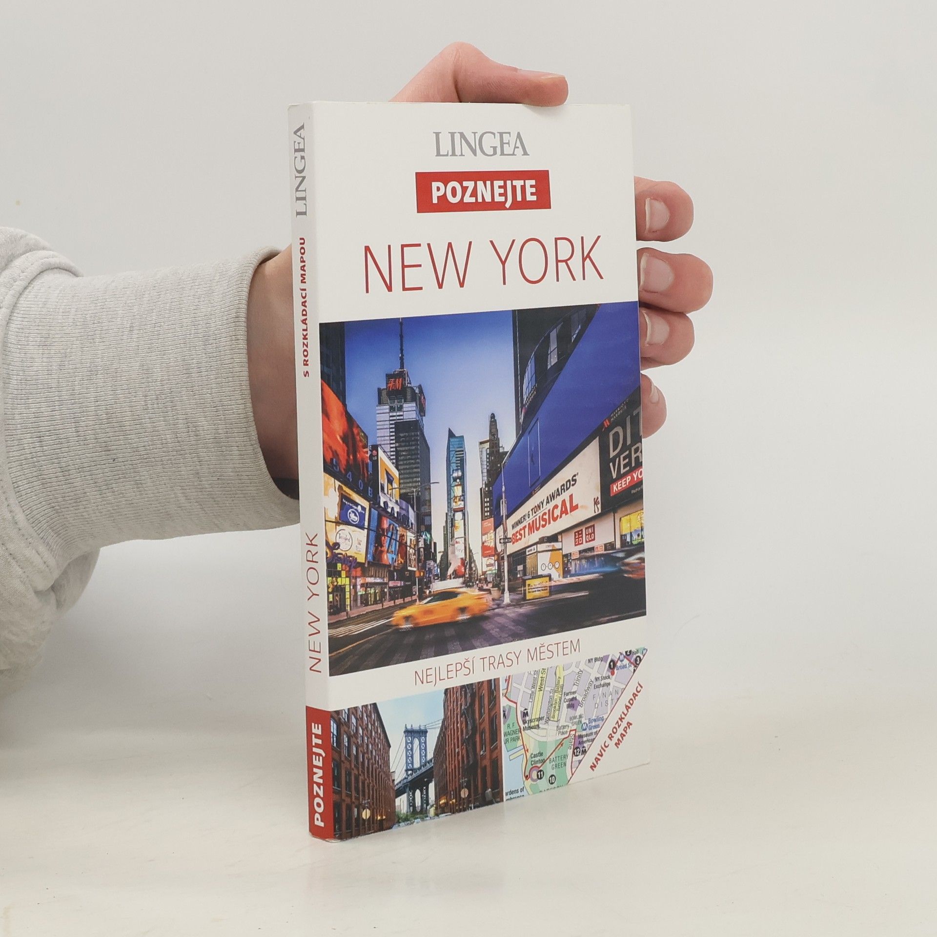 Kolektív autorov New York