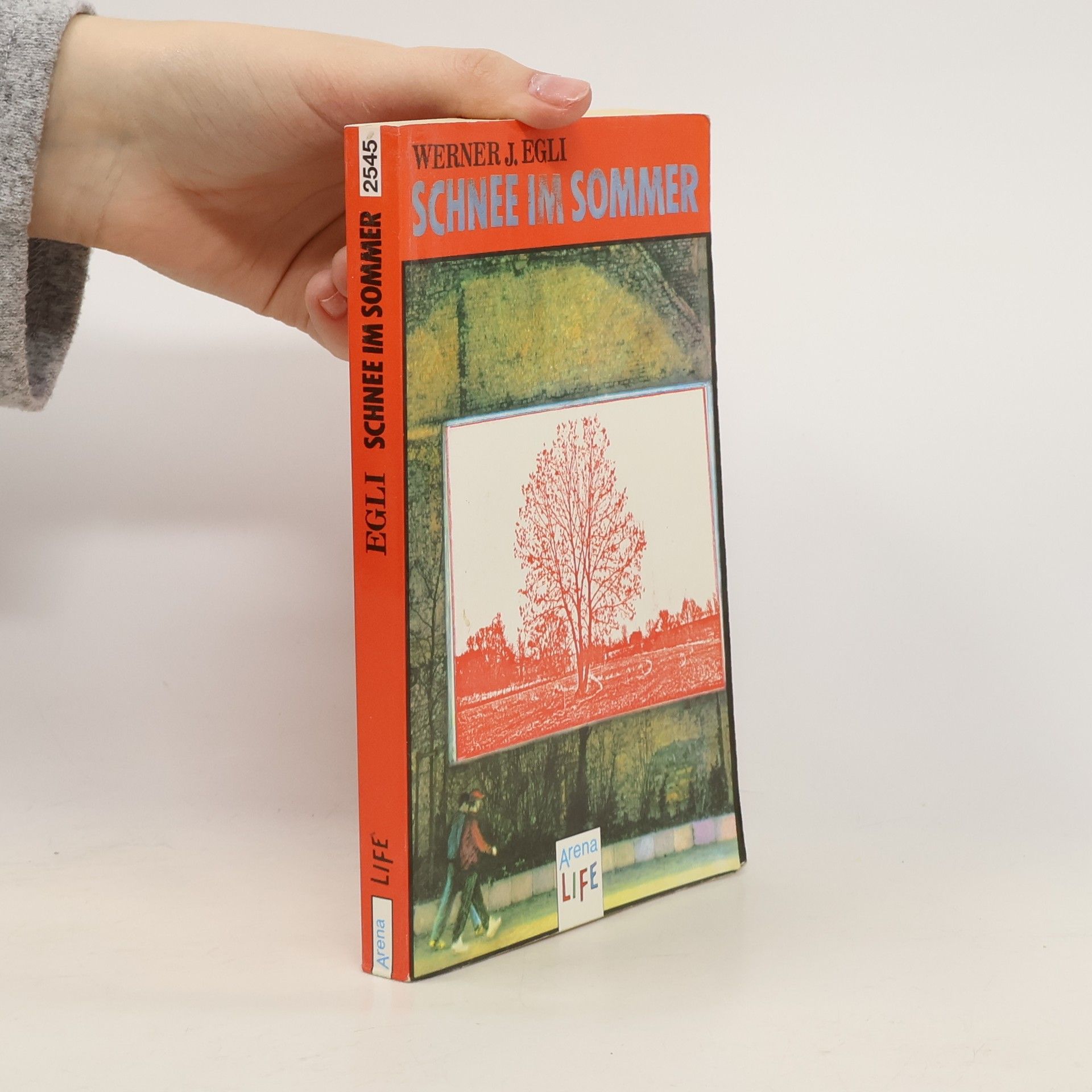 Werner J. Egli Schnee im Sommer