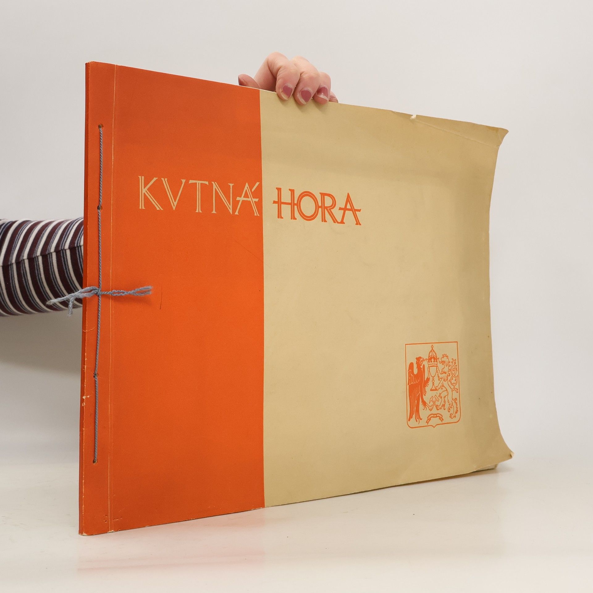 Kolektív autorov Kutná Hora : Město a jeho umění