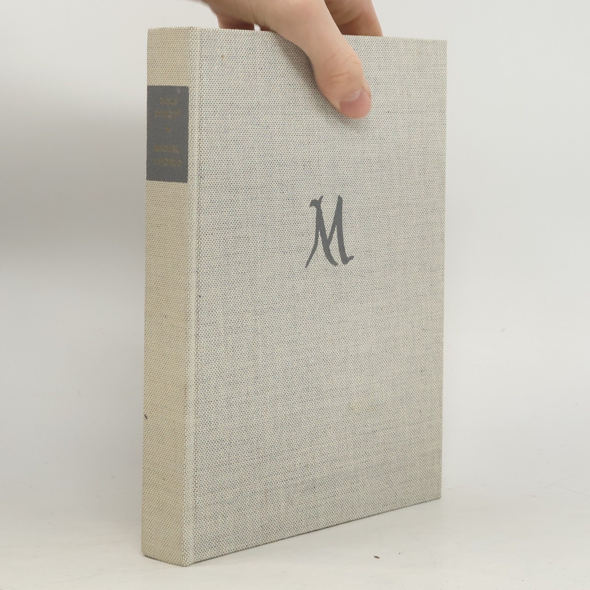 Michelangelo. Der Mensch und sein Werk