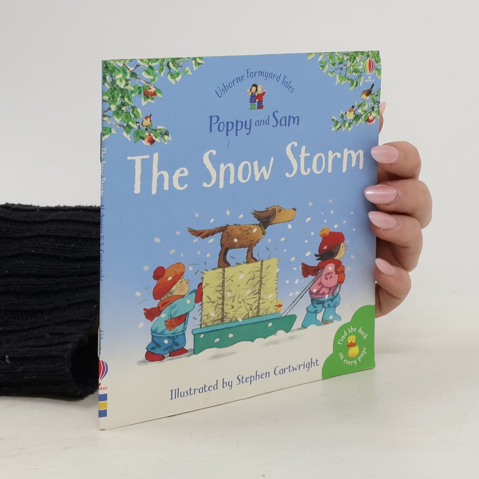 Heather Amery The Snow Storm