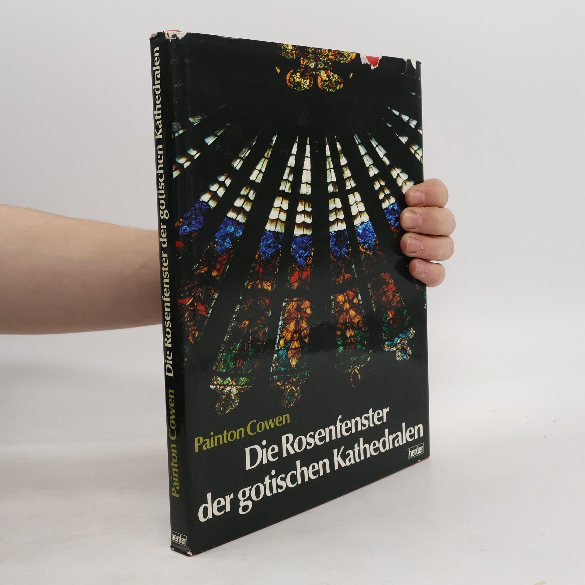 Die Rosenfenster der gotischen Kathedralen