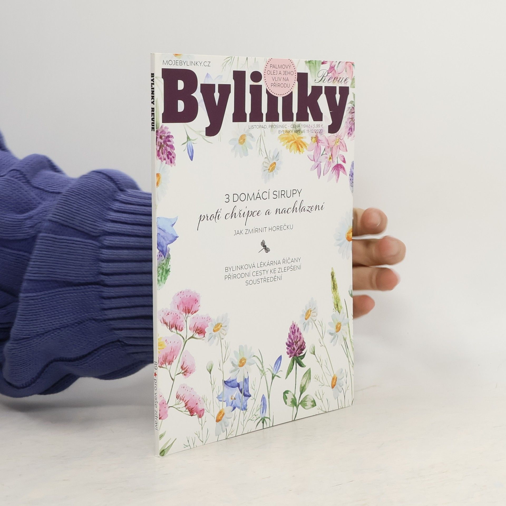 Kolektív autorov Bylinky 11-12/2020