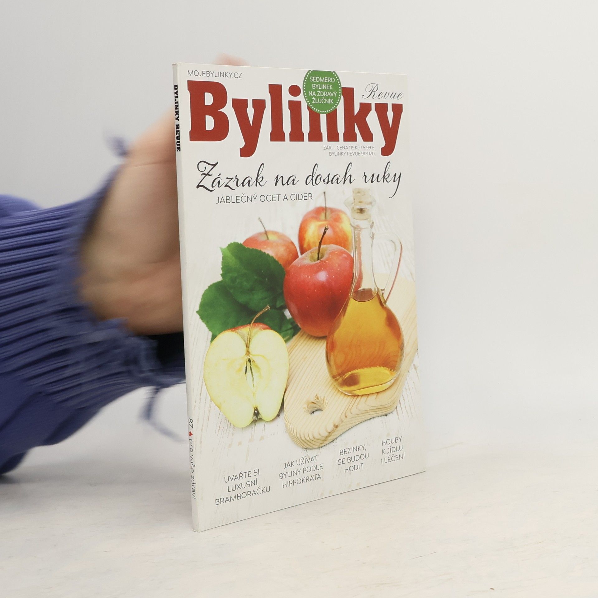 AA.VV. Bylinky revue 9/2020