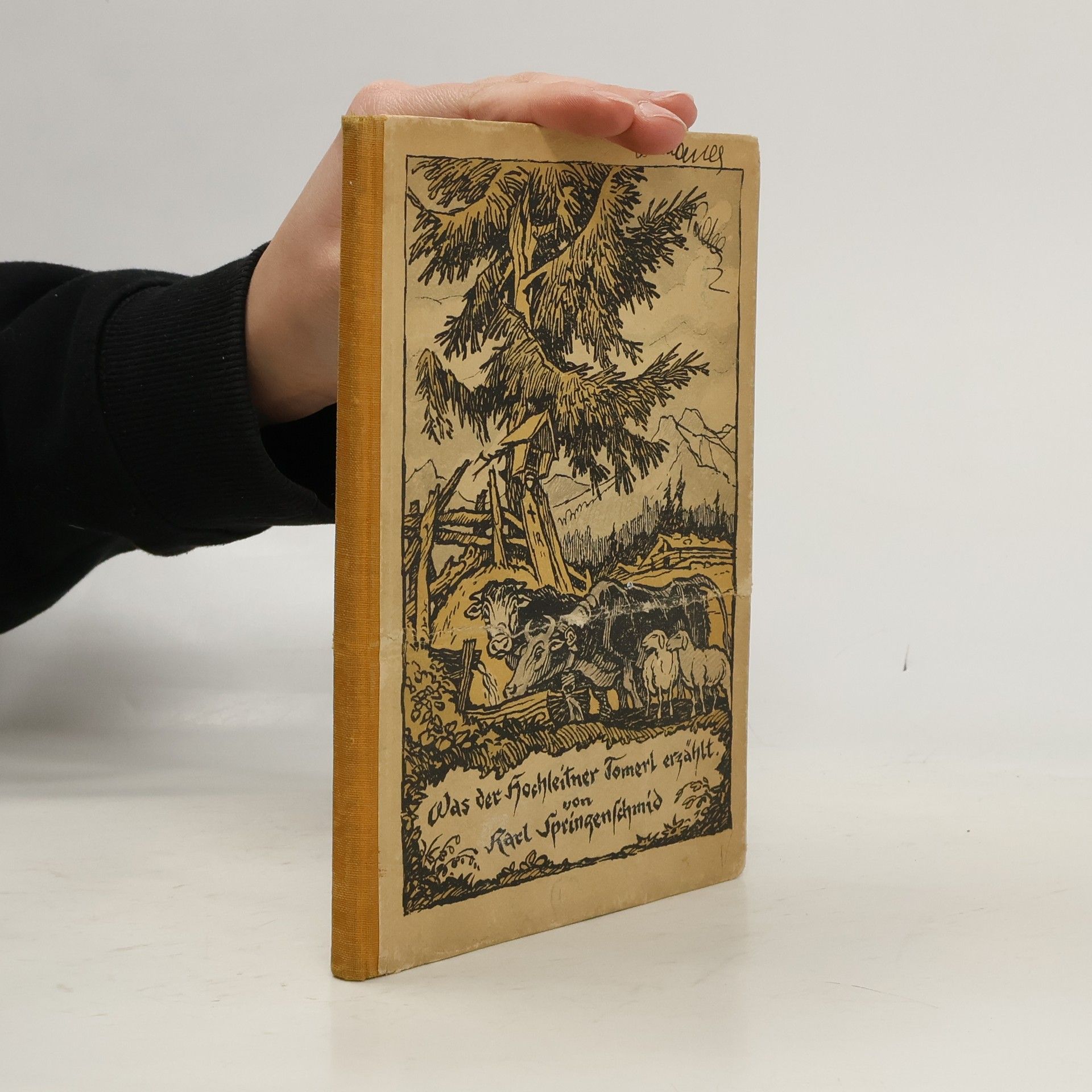 Karl Springenschmid Was der Hochleitner Thomerl erzählt