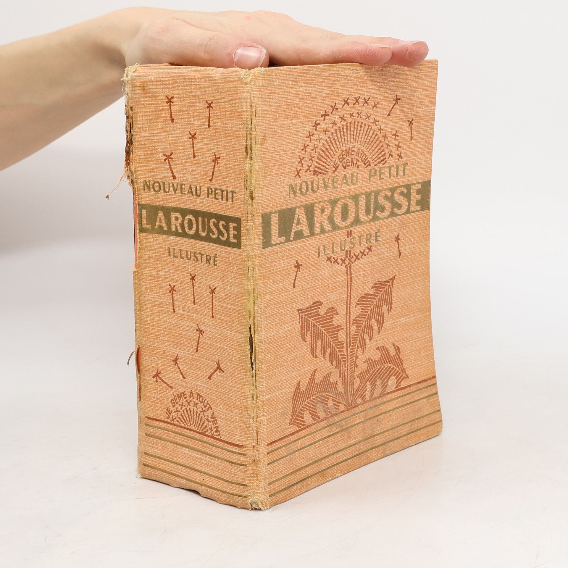 AA.VV. Nouveau Petit Larousse Illustré