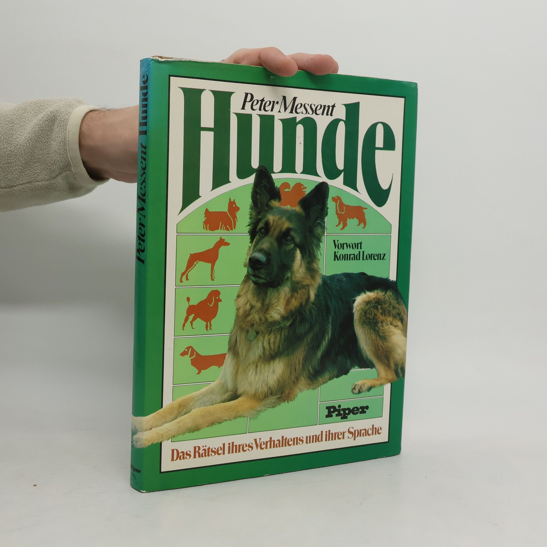 Peter Messent Hunde. Das Rätsel ihres Verhaltens und ihrer Sprache