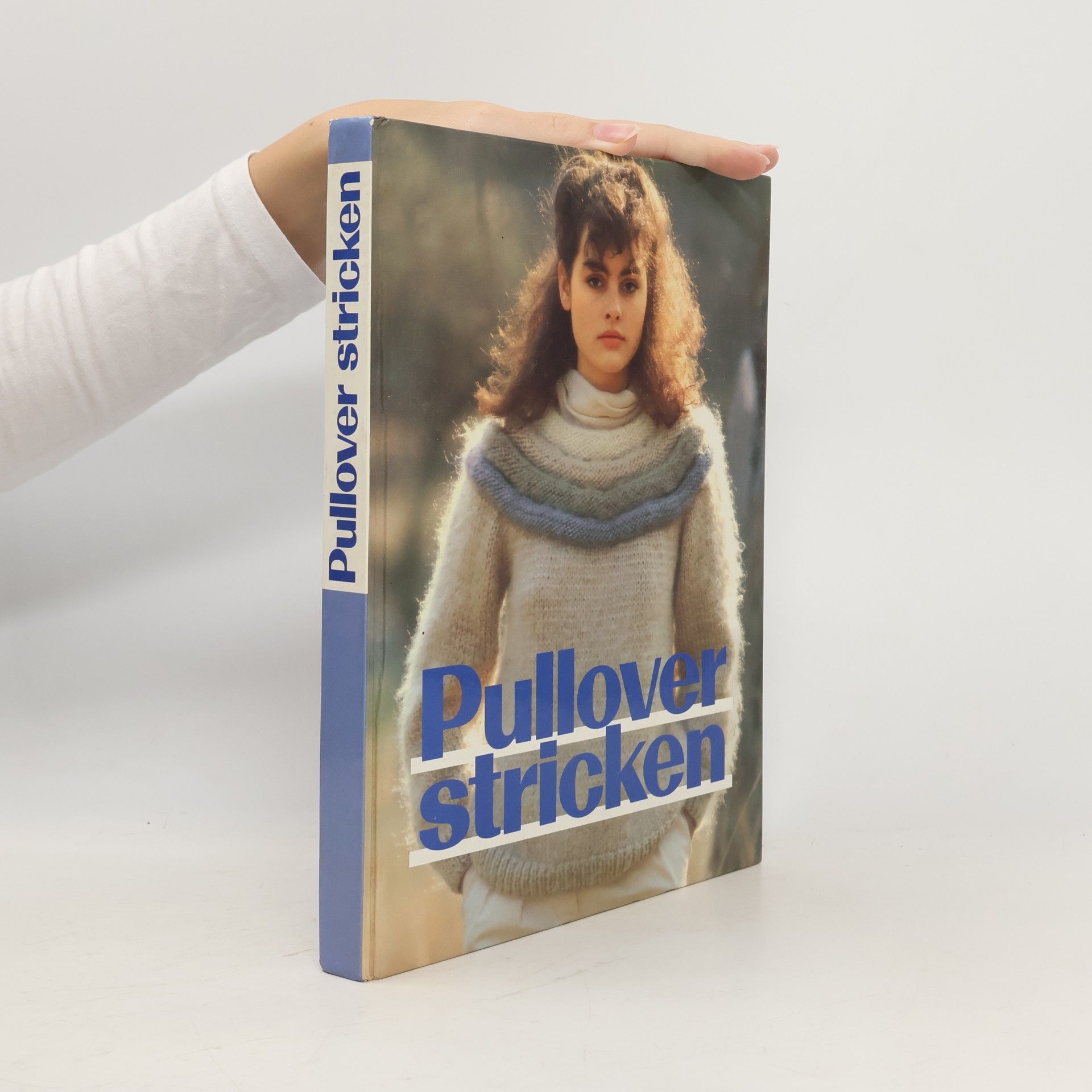 Autorenkollektiv Pullover stricken