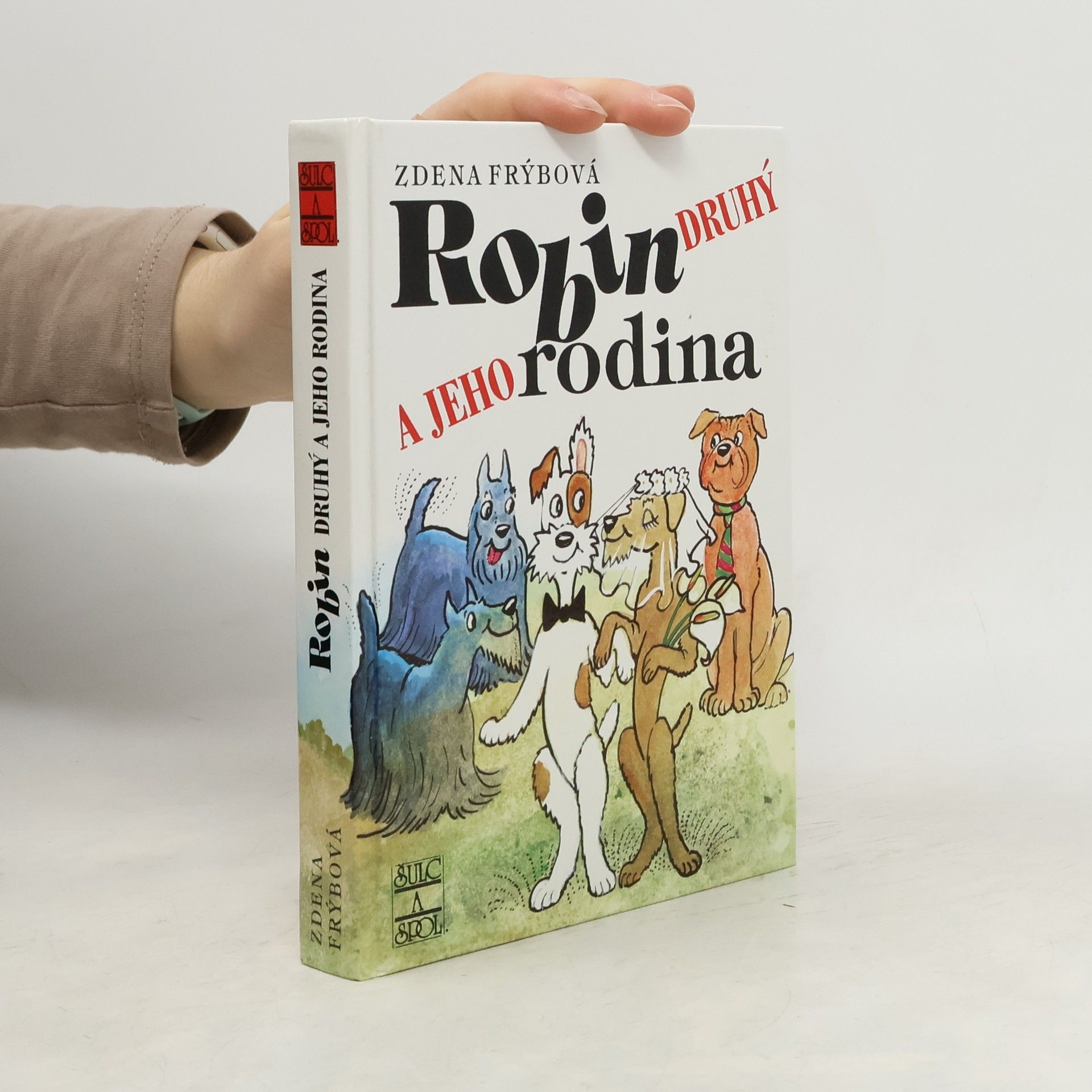 Robin Druhý a jeho rodina