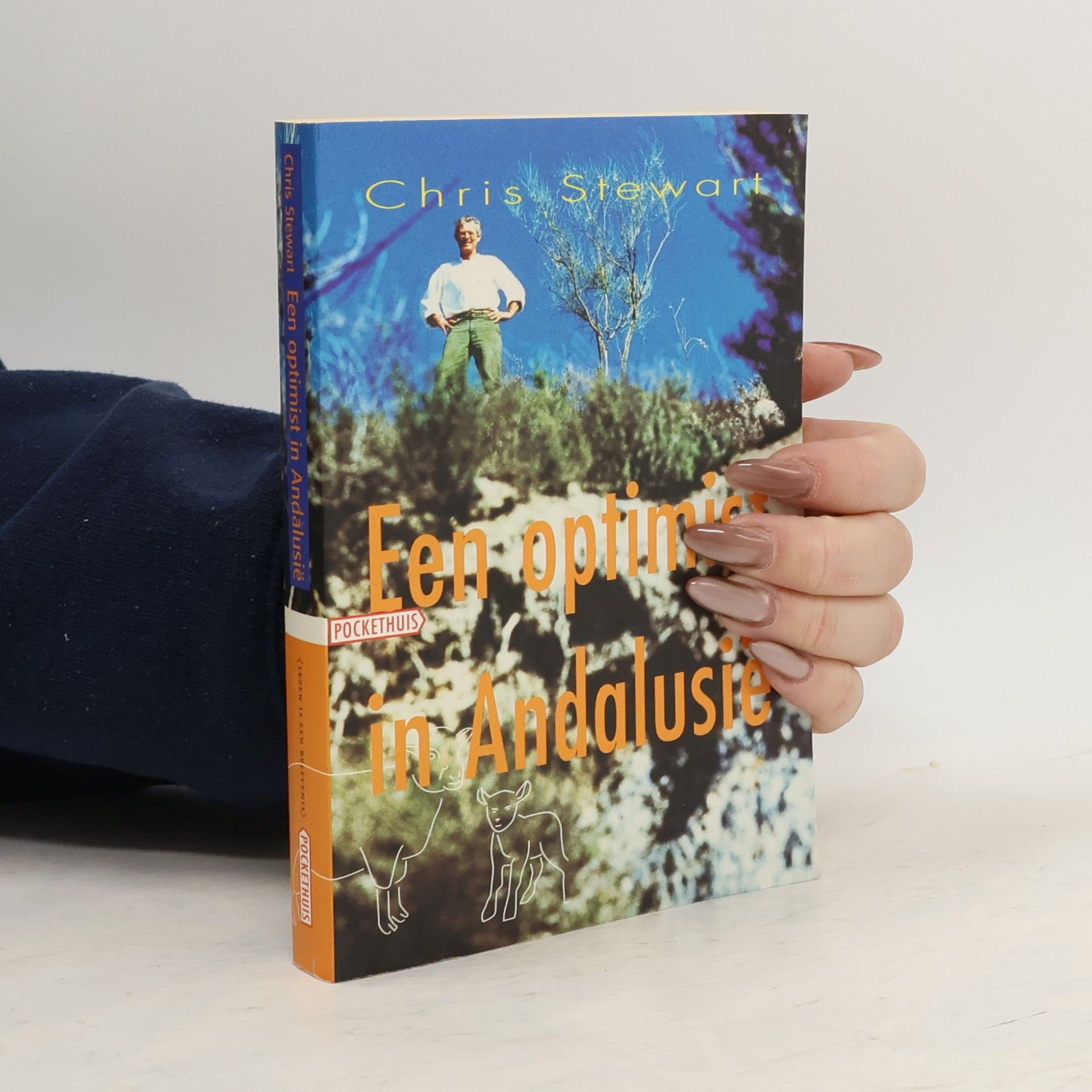 Een optimist in Andalusie