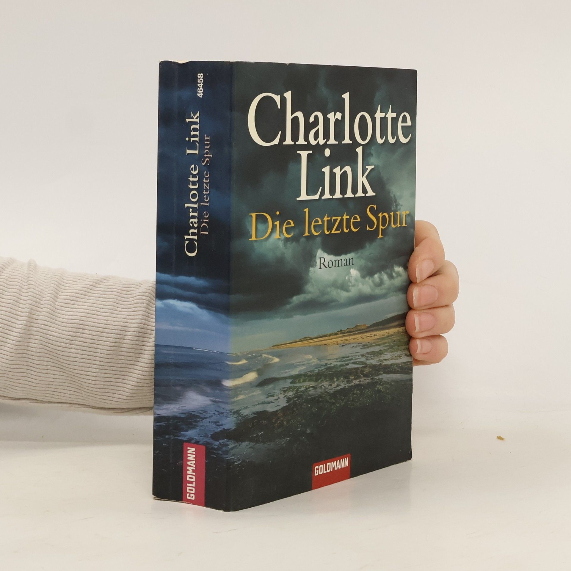 Charlotte Link Die letzte Spur