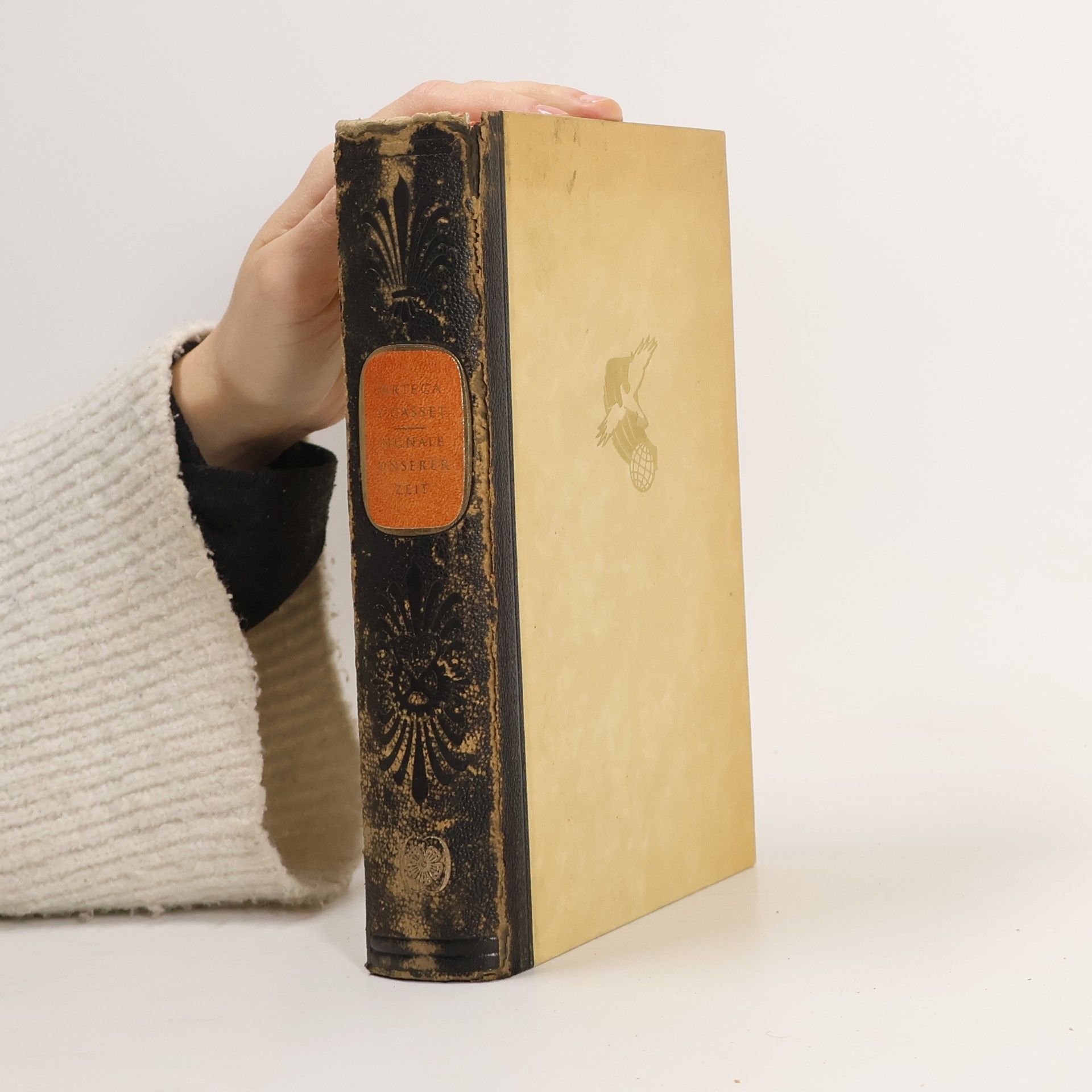 José Ortega y. Gasset Signale unserer Zeit