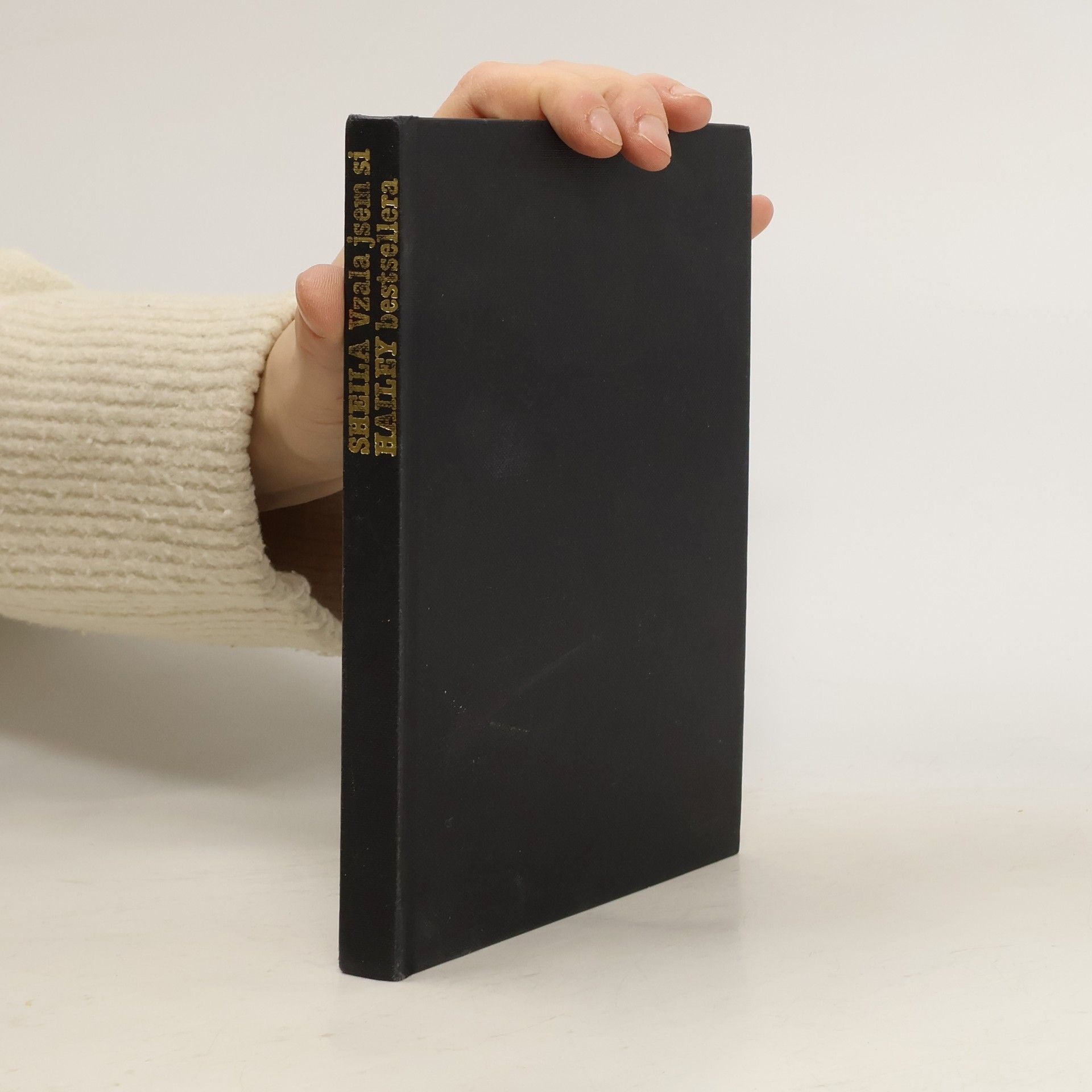 Vzala jsem si bestsellera