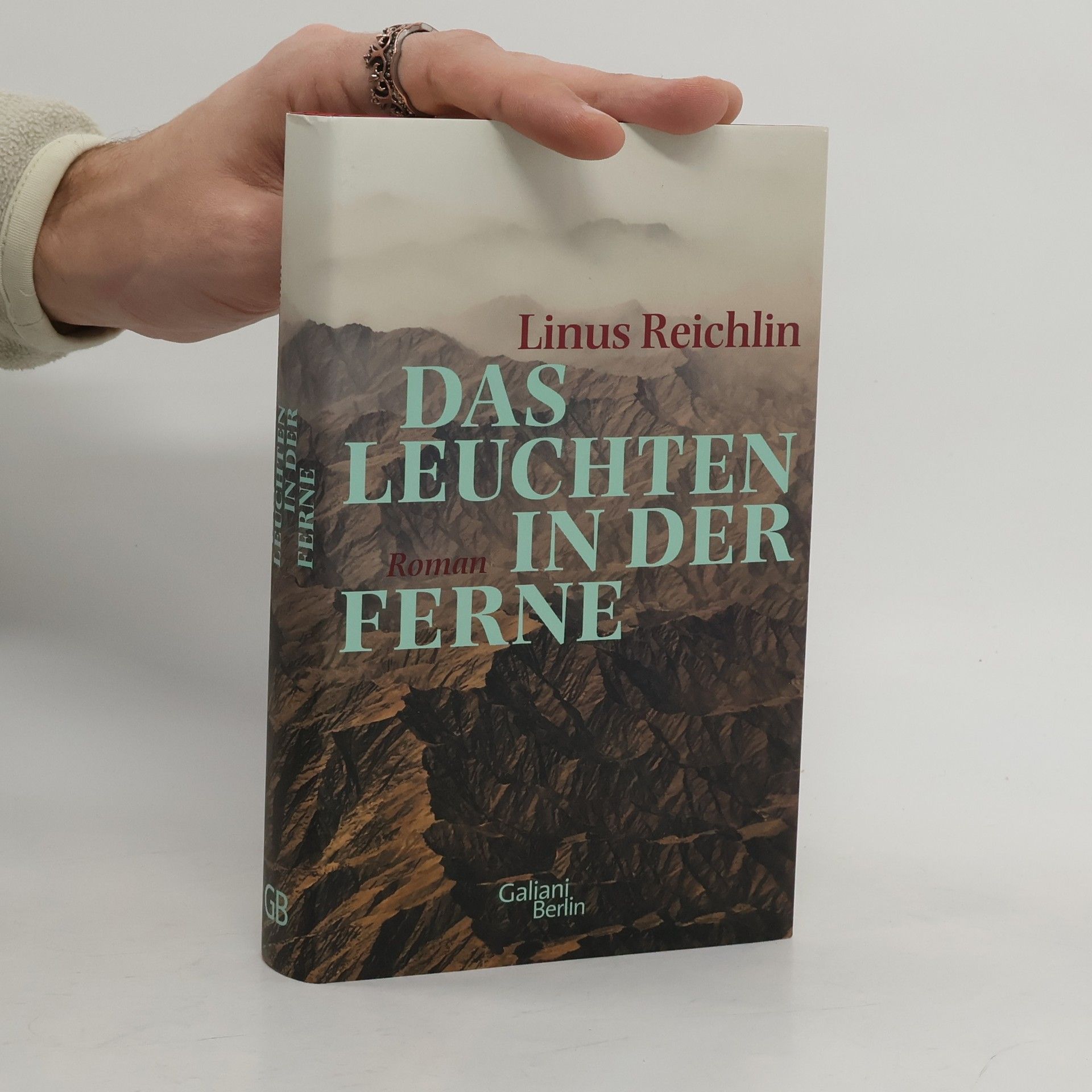 Linus Reichlin Das Leuchten in der Ferne