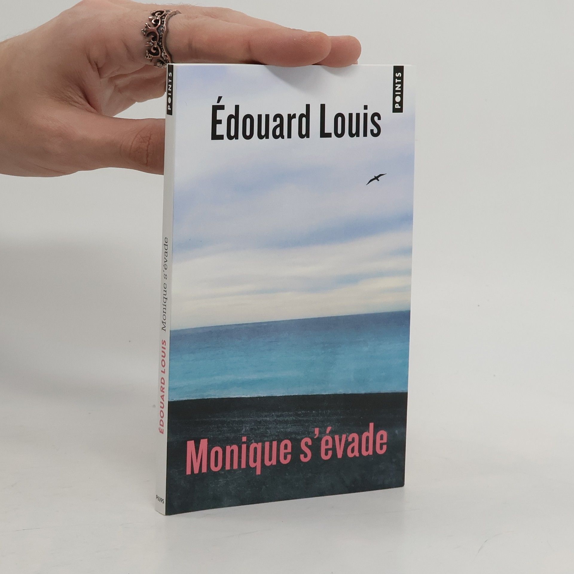 Édouard Louis Monique s'évade