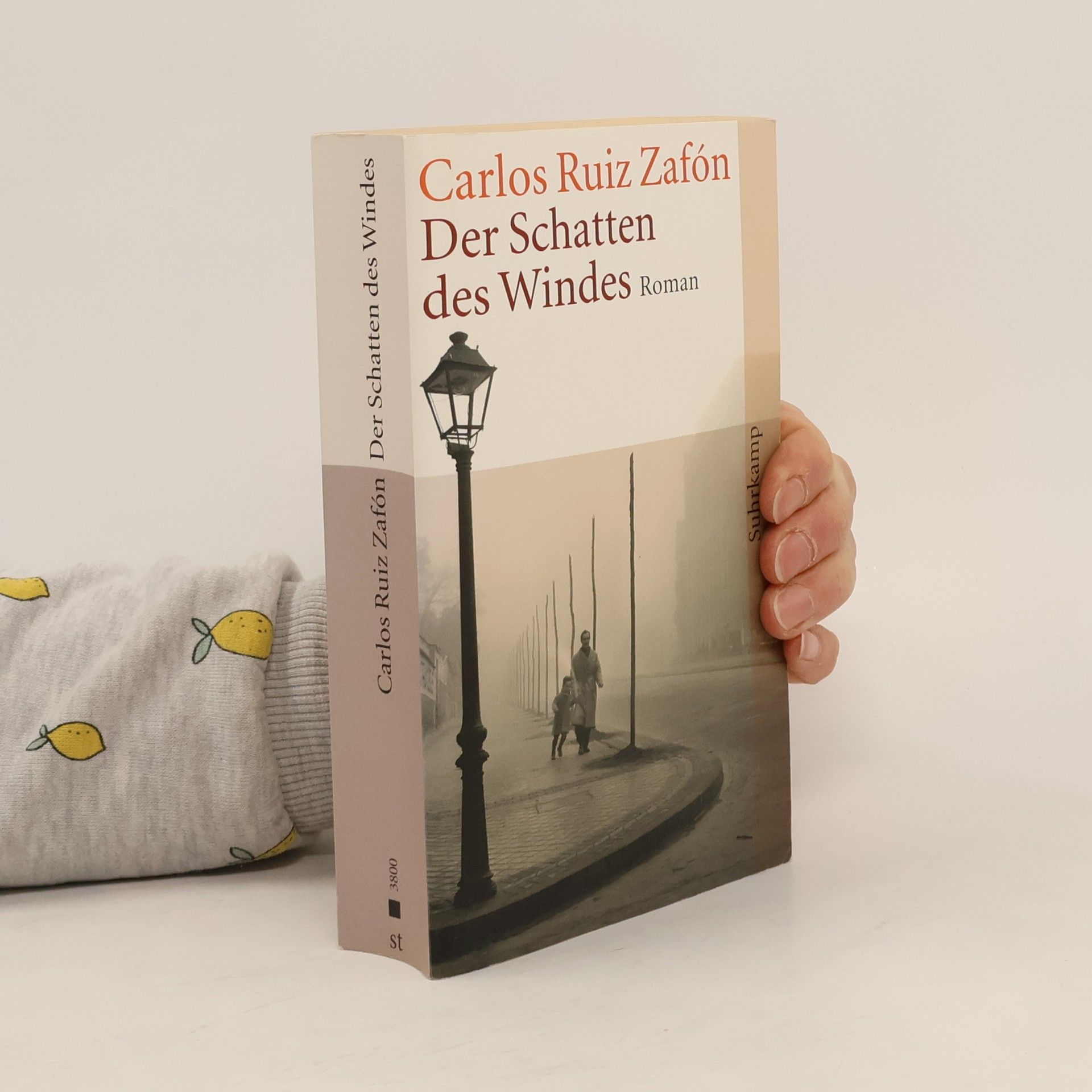 Carlos Ruiz Zafón Der Schatten des Windes