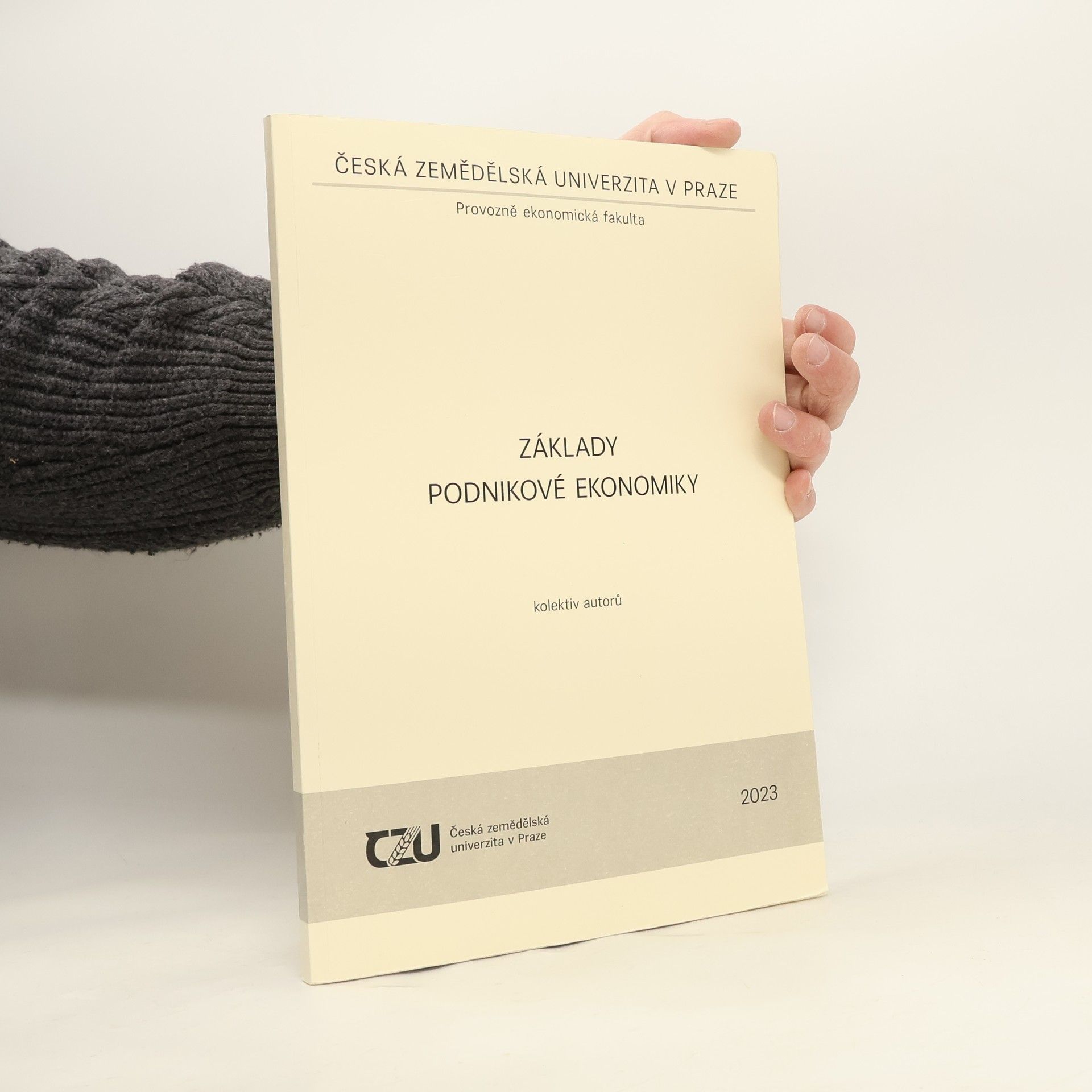 Collectif d'auteurs Základy podnikové ekonomiky