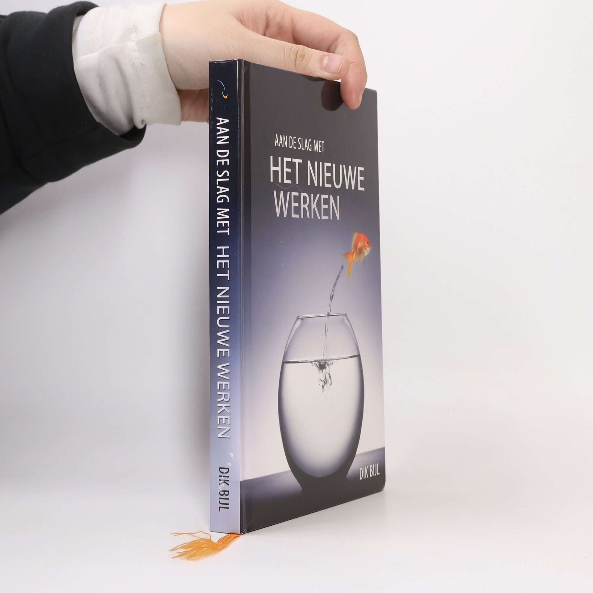 Dik Bijl Aan de slag met Het Nieuwe Werken