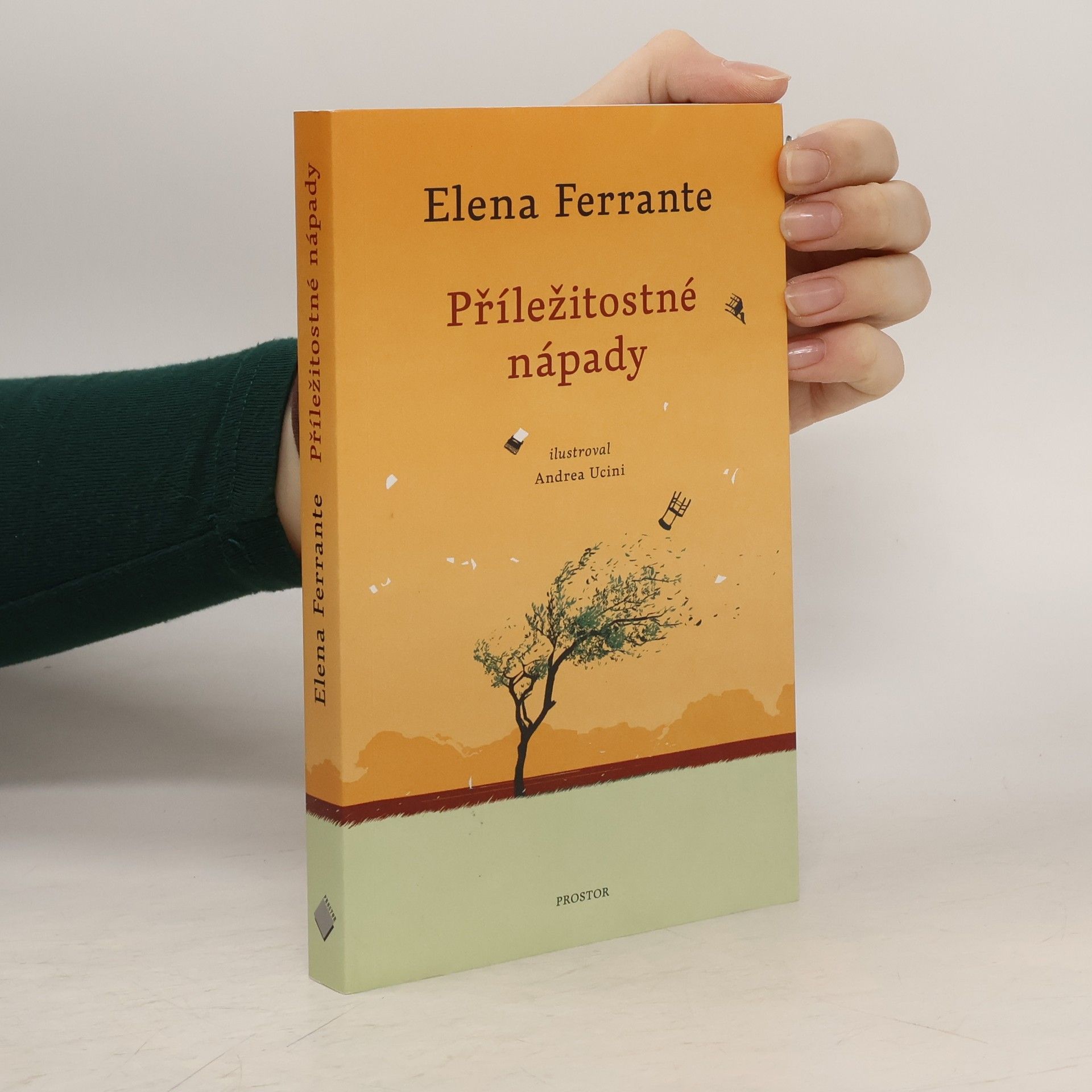 Elena Ferrante Příležitostné nápady