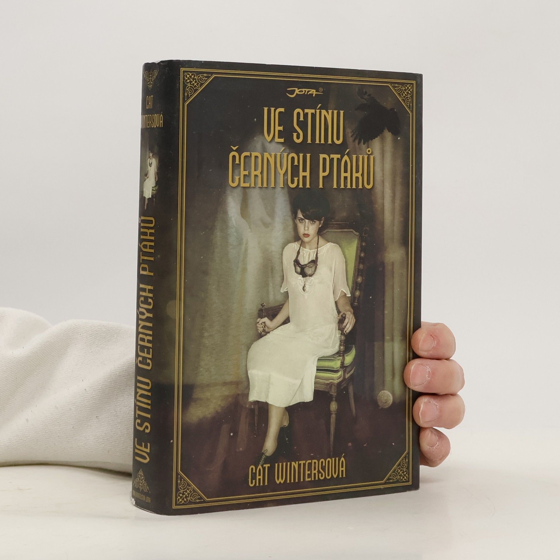 Cat Winters Ve stínu černých ptáků