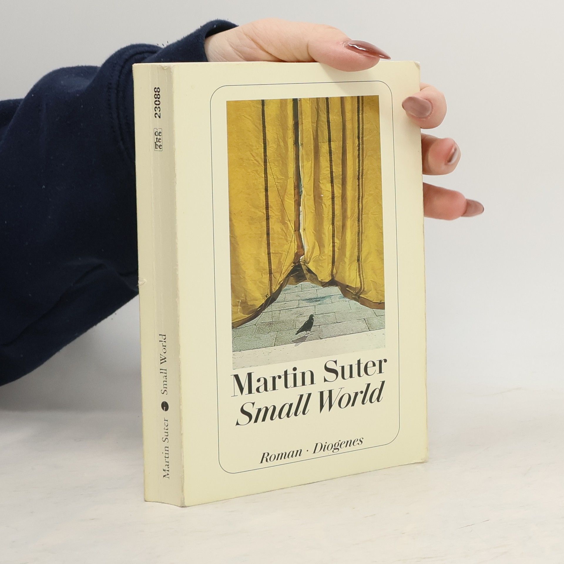 Martin Suter Small World
