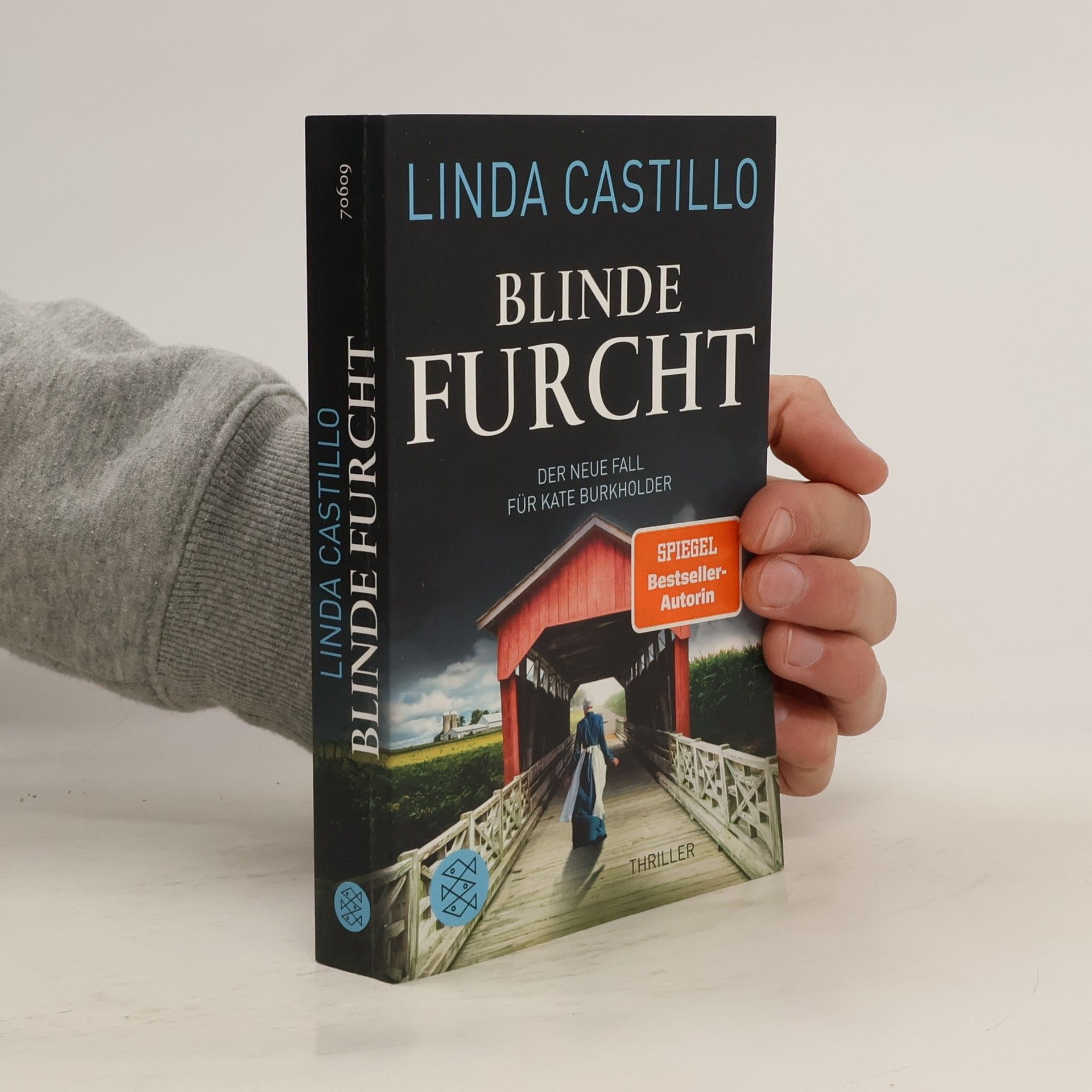 Linda Castillo Blinde Furcht