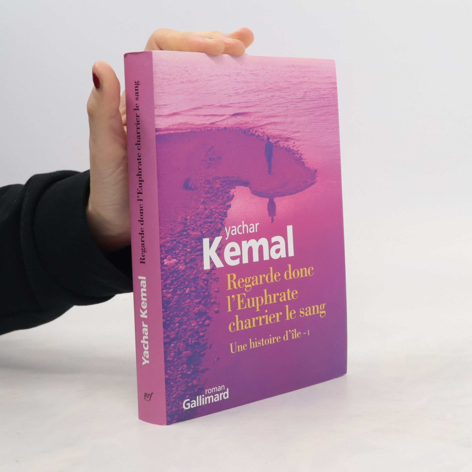 Yaşar Kemal Regarde donc l'Euphrate charrier le sang