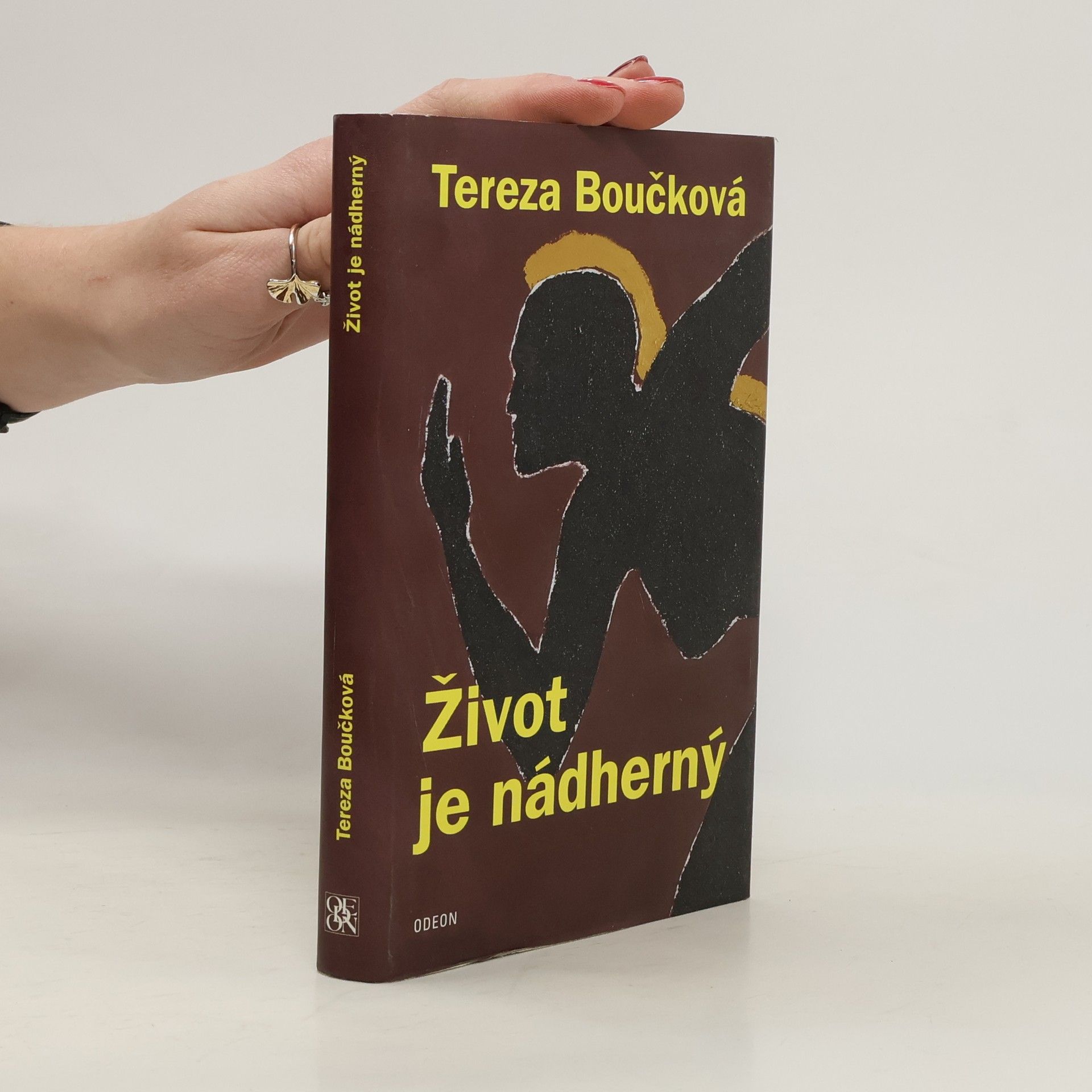 Život je nádherný