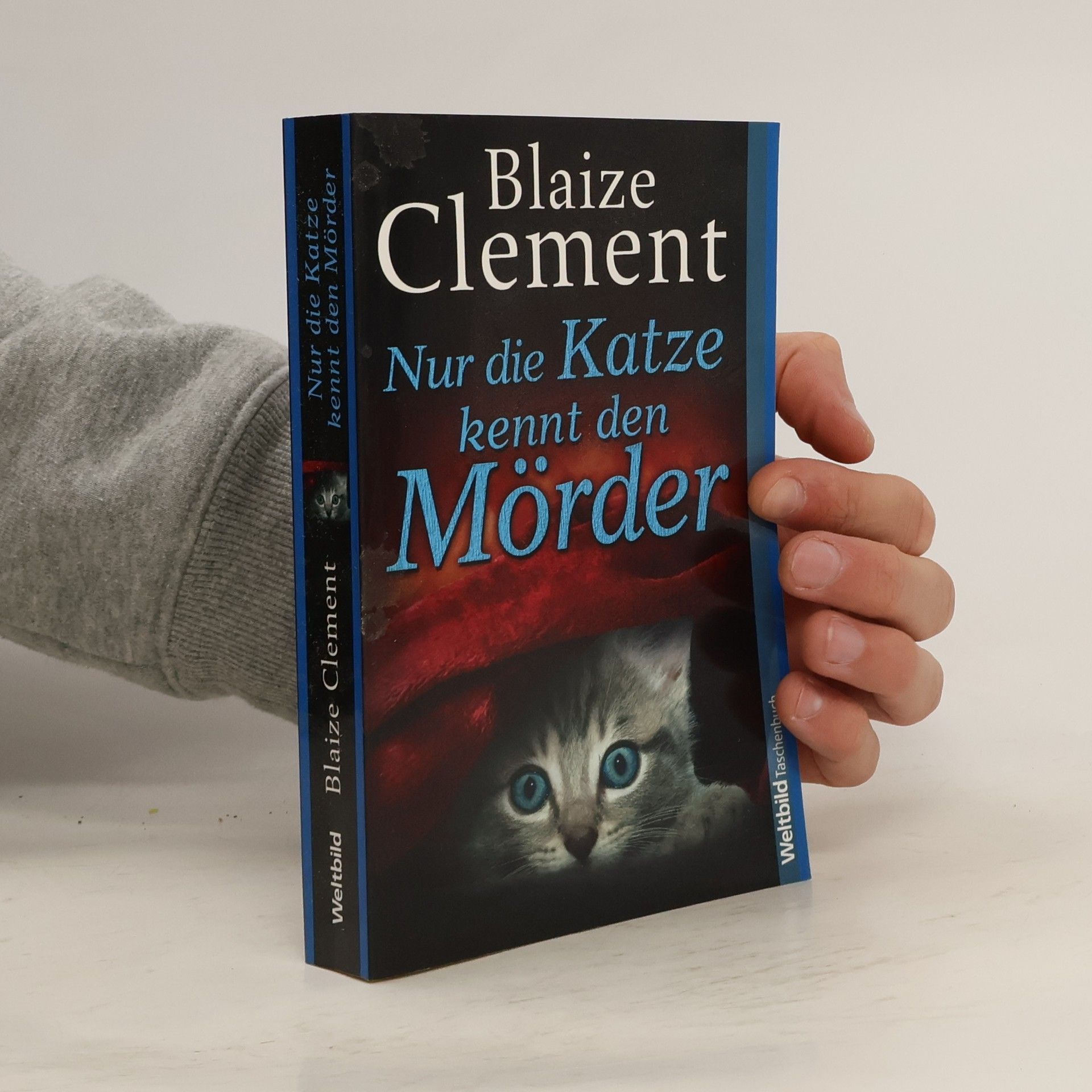 Blaize Clement Nur die Katze kennt den Mörder