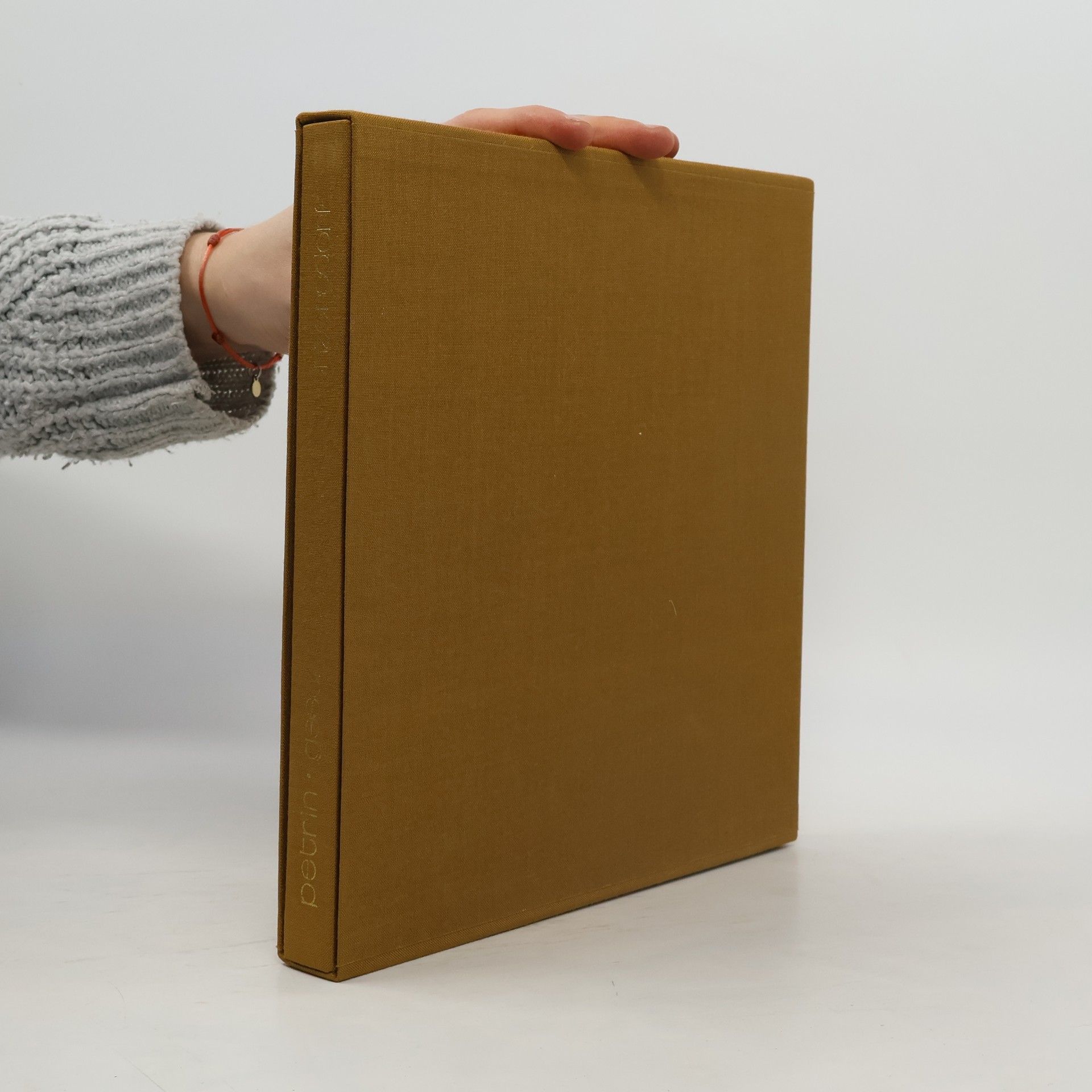 Silvia Petrin Geschichte von Maria Enzersdorf