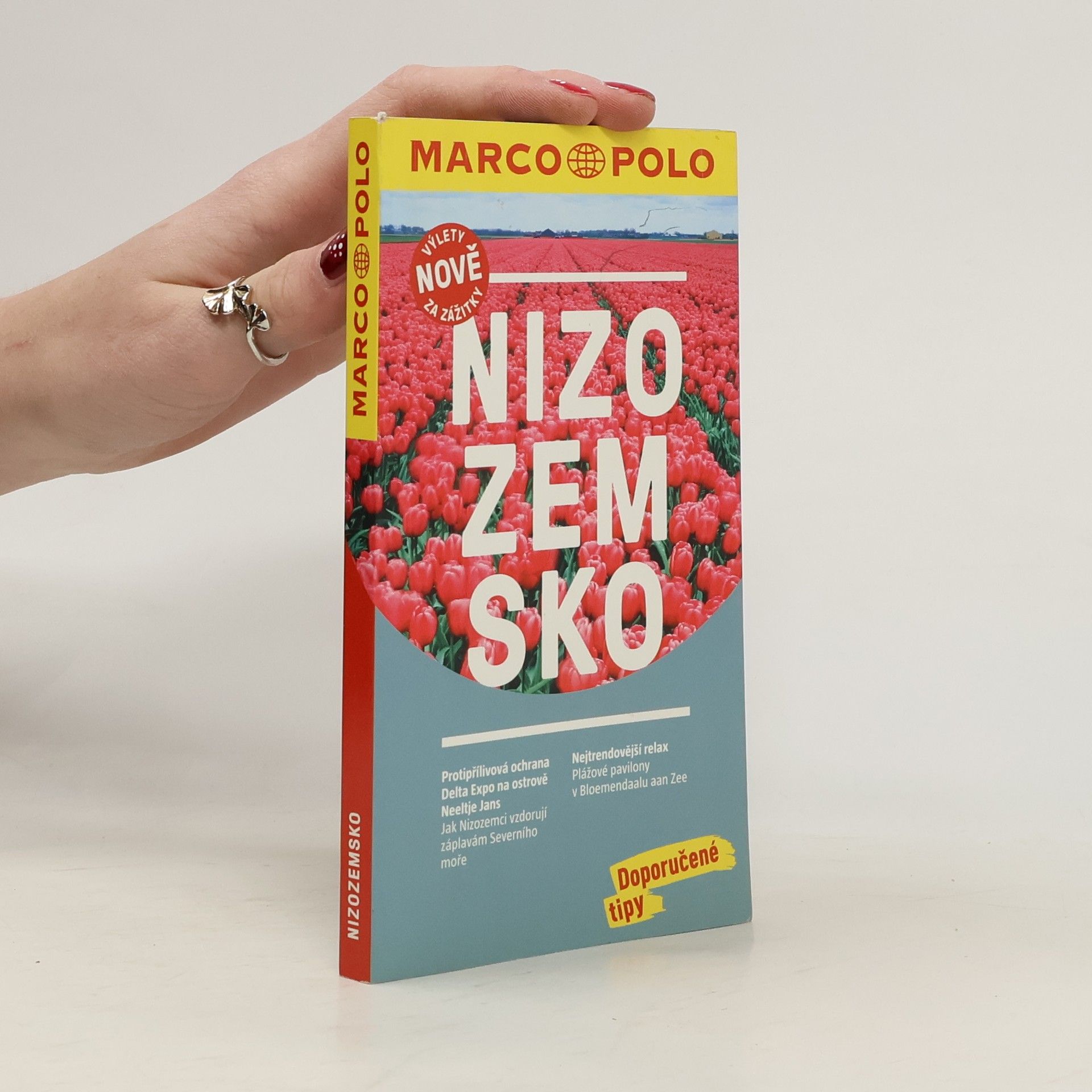 Kolektív autorov Nizozemsko / MP průvodce nová edice