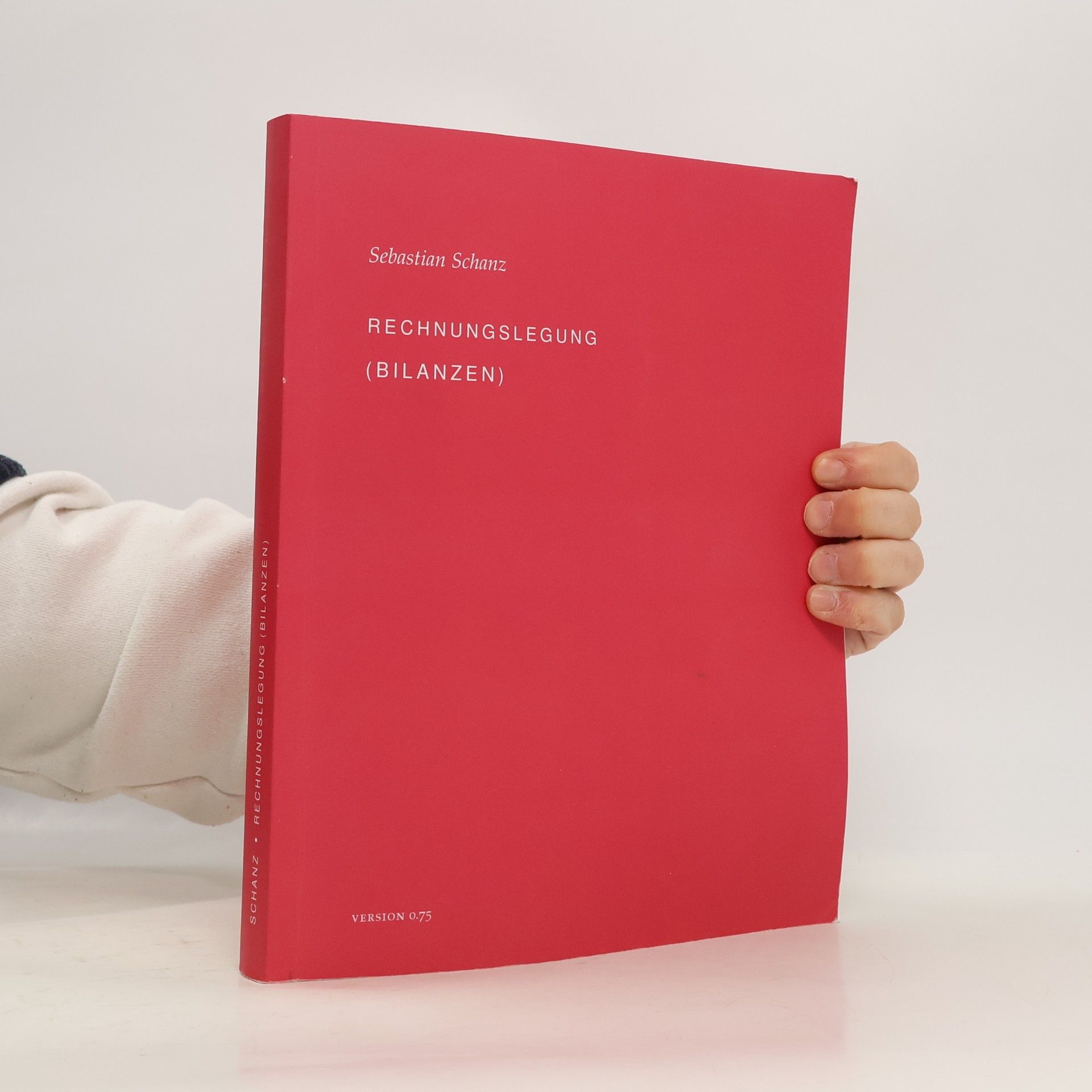 Sebastian Schanz Rechnungslegung (Bilanzen)
